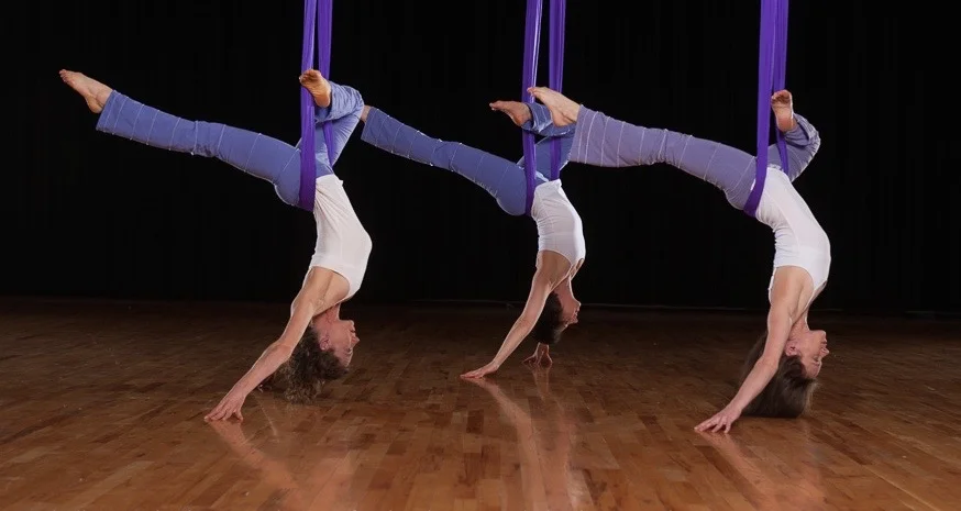 3 more ducks in a row! in Gazelle_Photo by Jim Campbell OmLight Photography.jpg