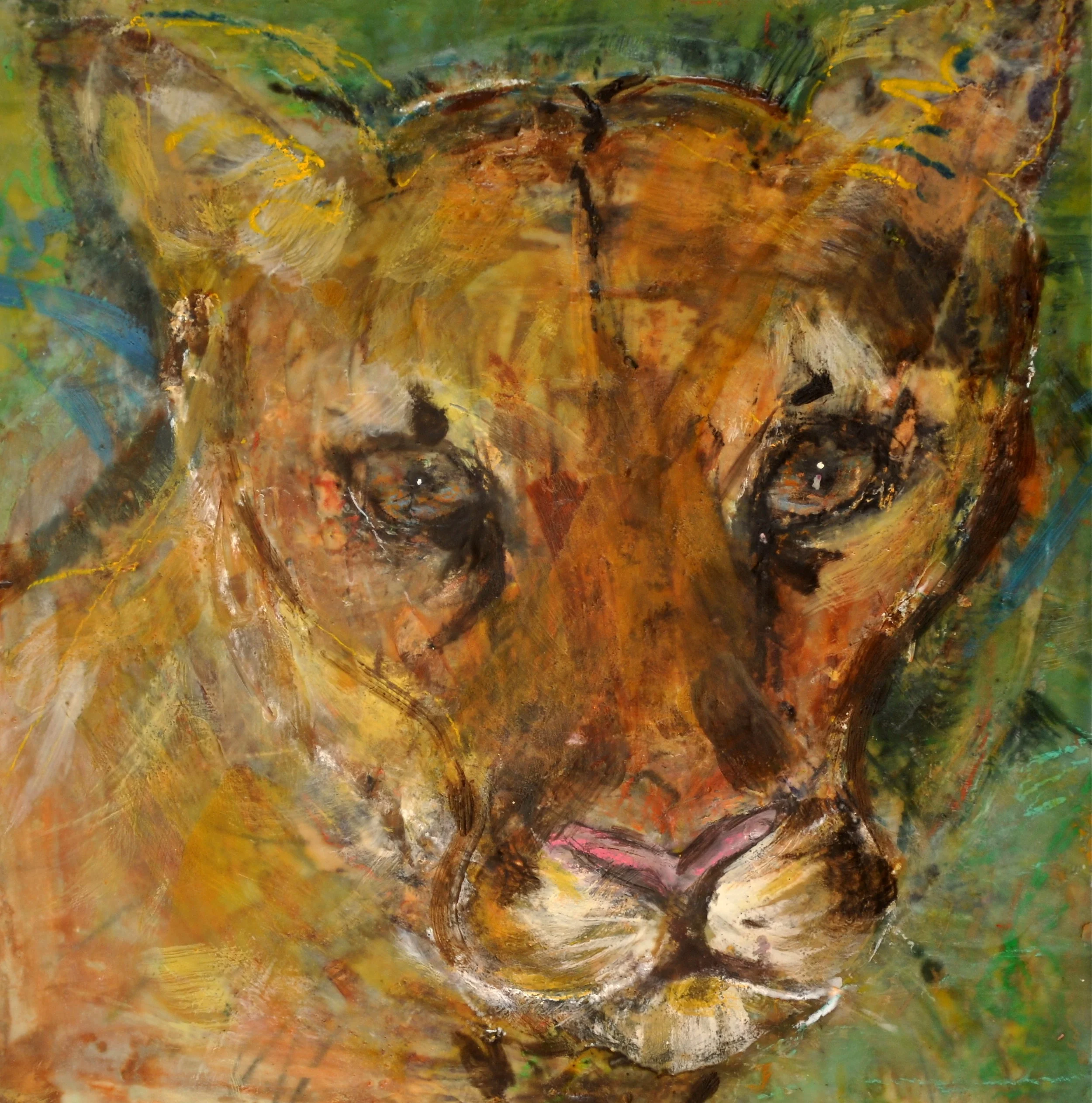 leopard-in-grass.jpg