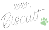 XOXO Biscuit-01.png
