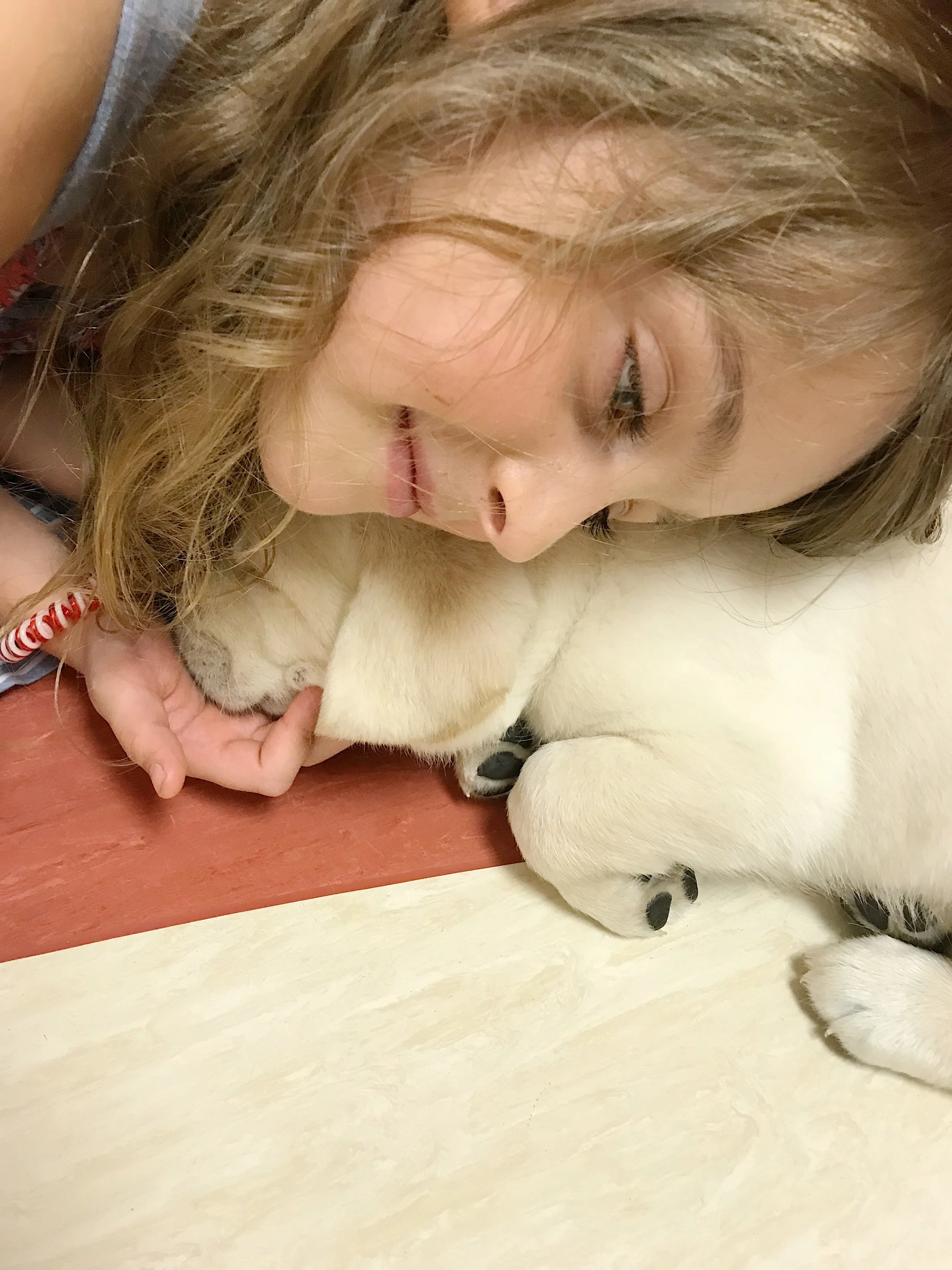 what exactly is parvo