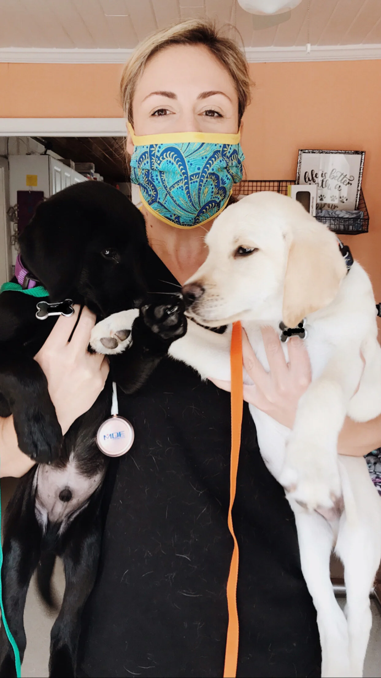 vet for puppies near me