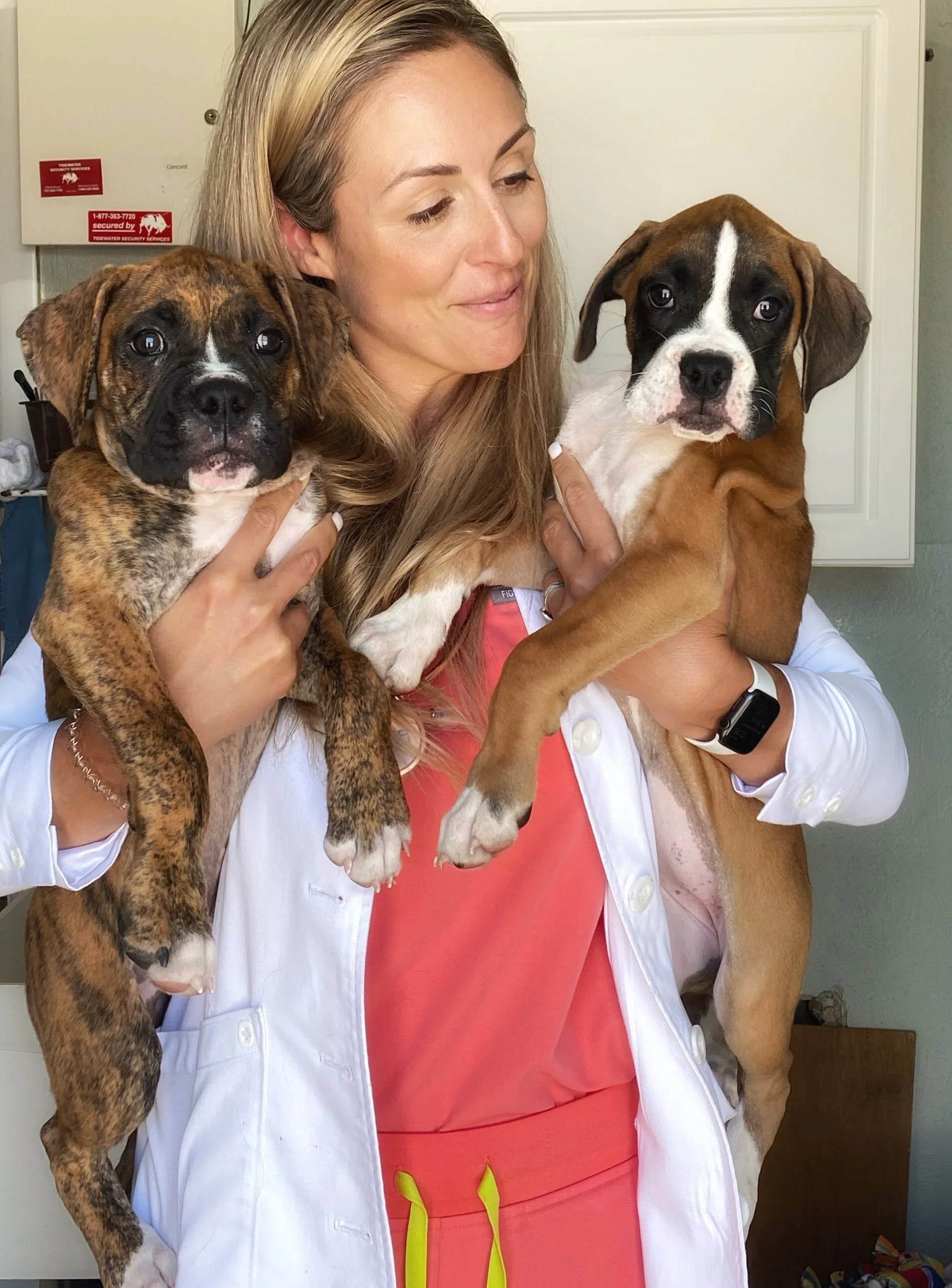 Navigating Veterinary Medicine Post-Pandemic