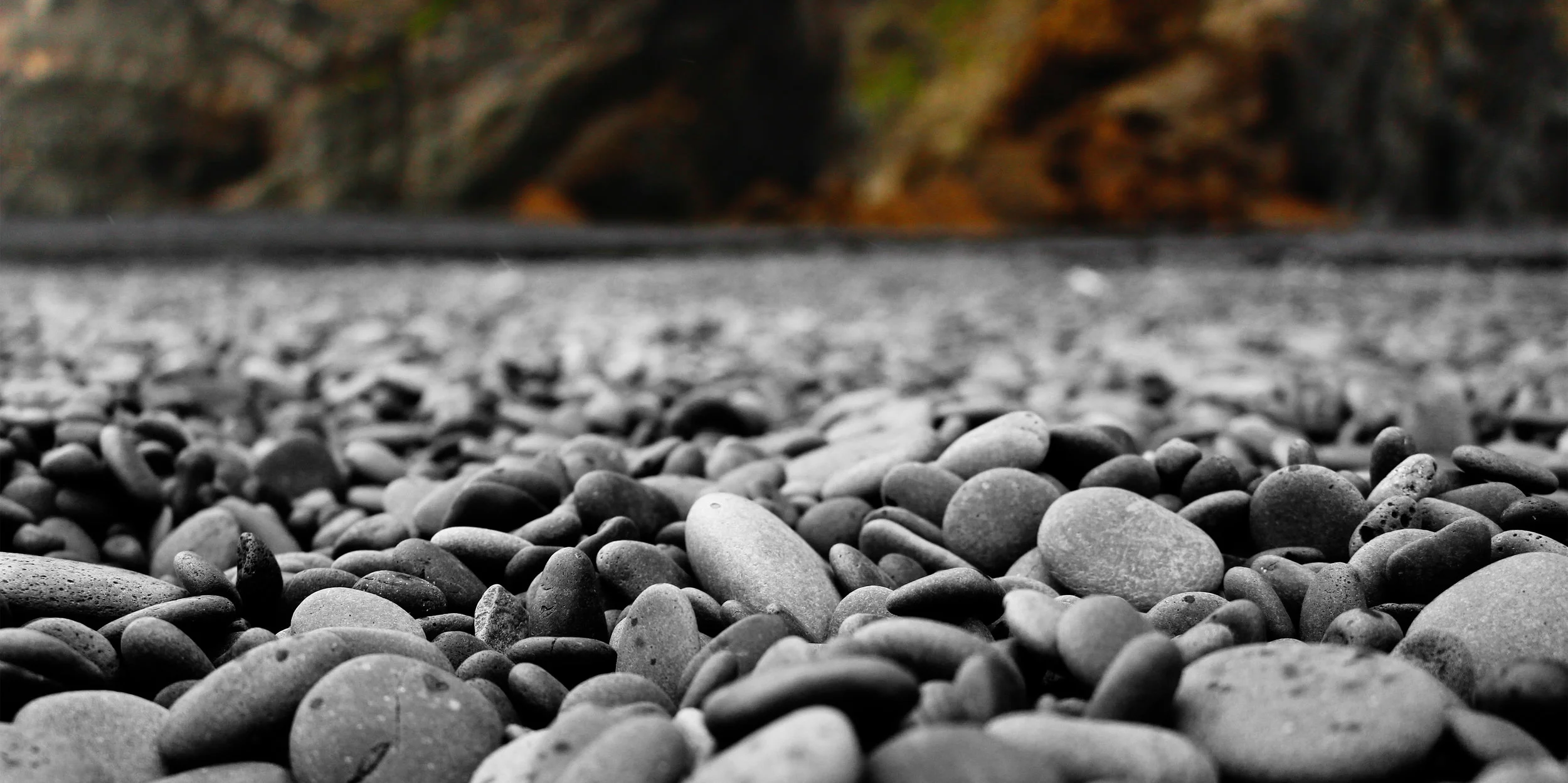 _MG_2985 edit v1.jpg