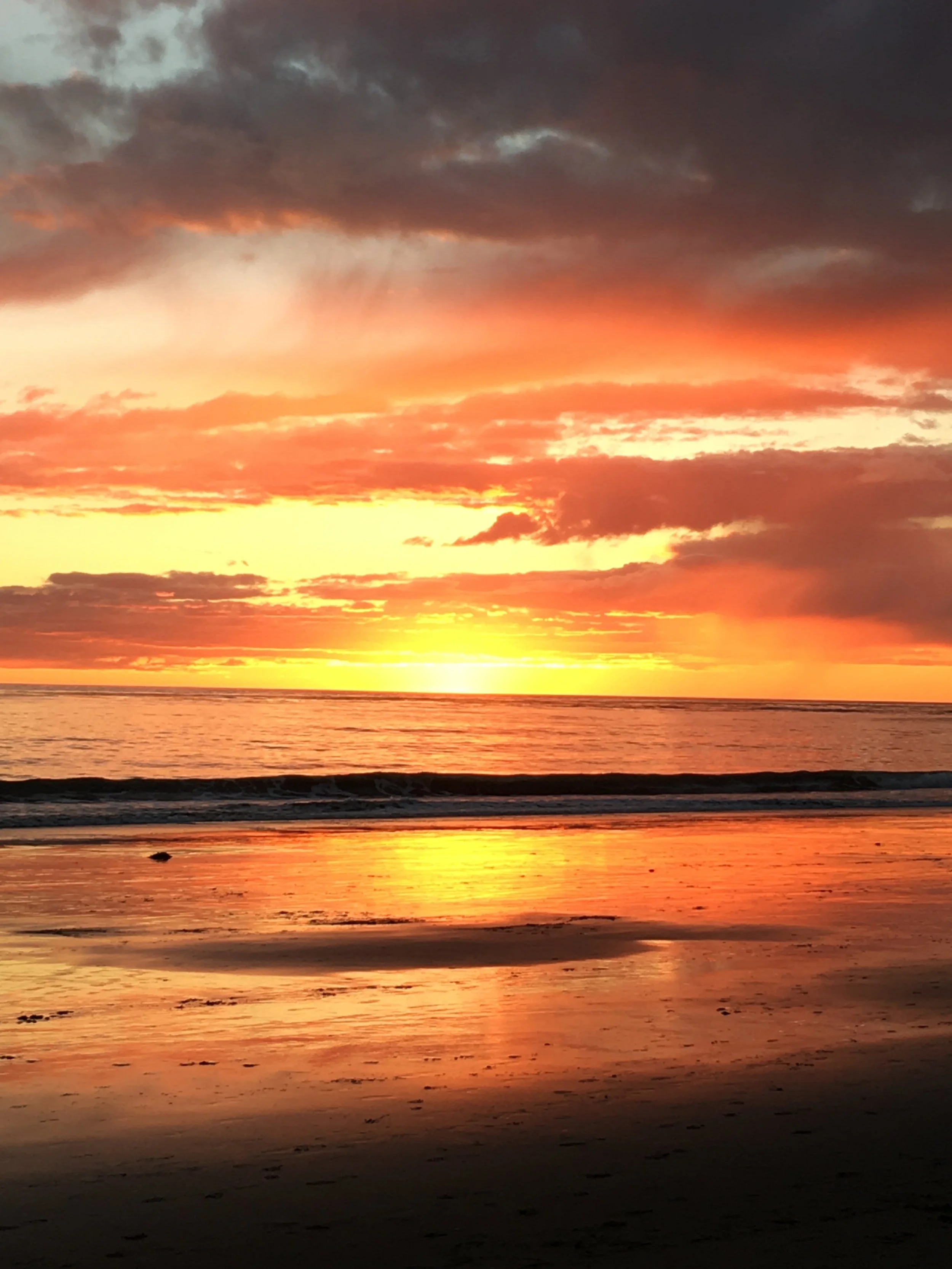 Kate Flynn is Swell!