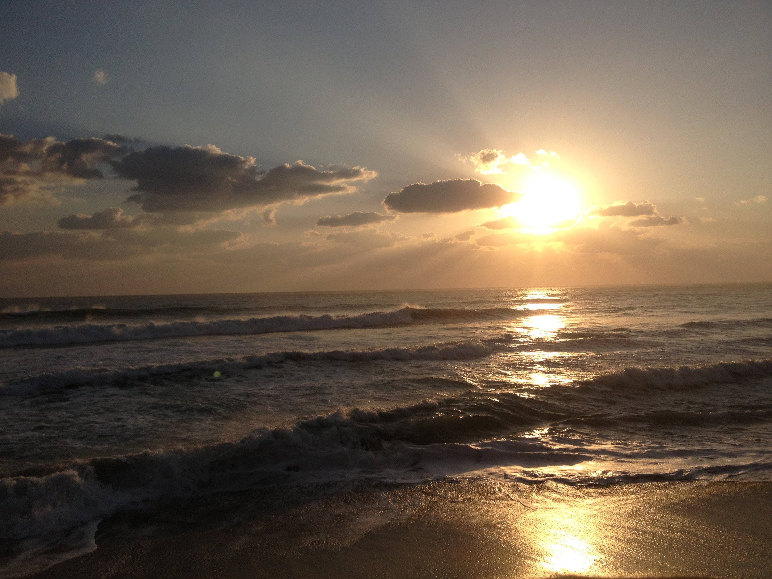 Human Design with Essa 