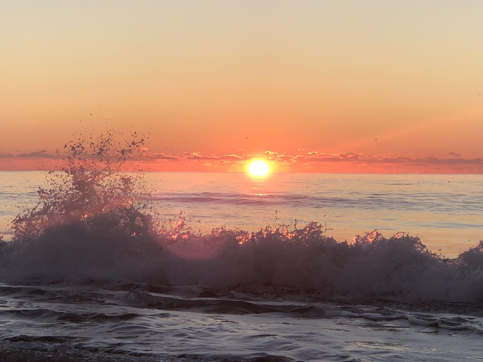 Let's Talk About Grief