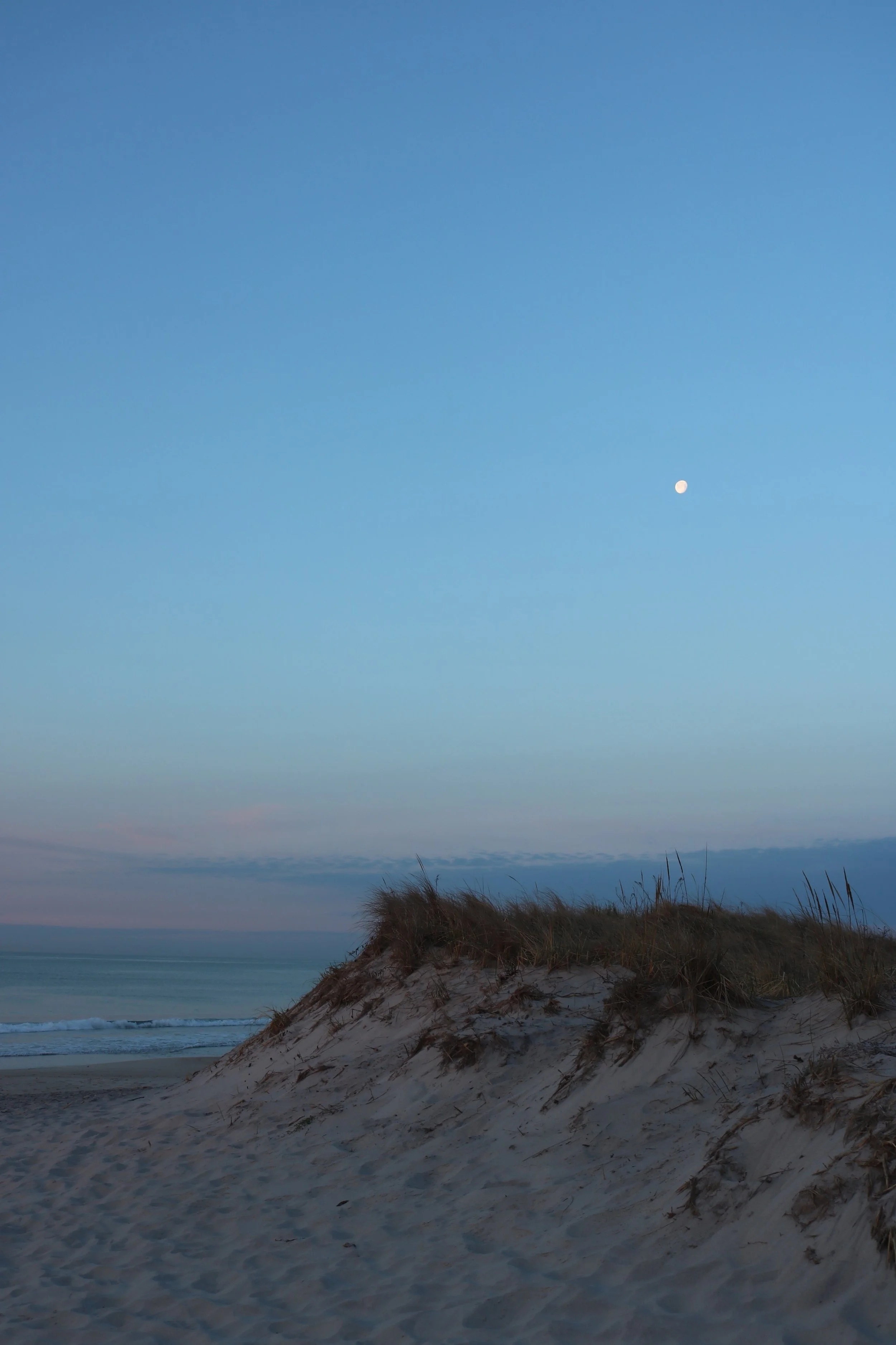 Ohm In The Home Returns!