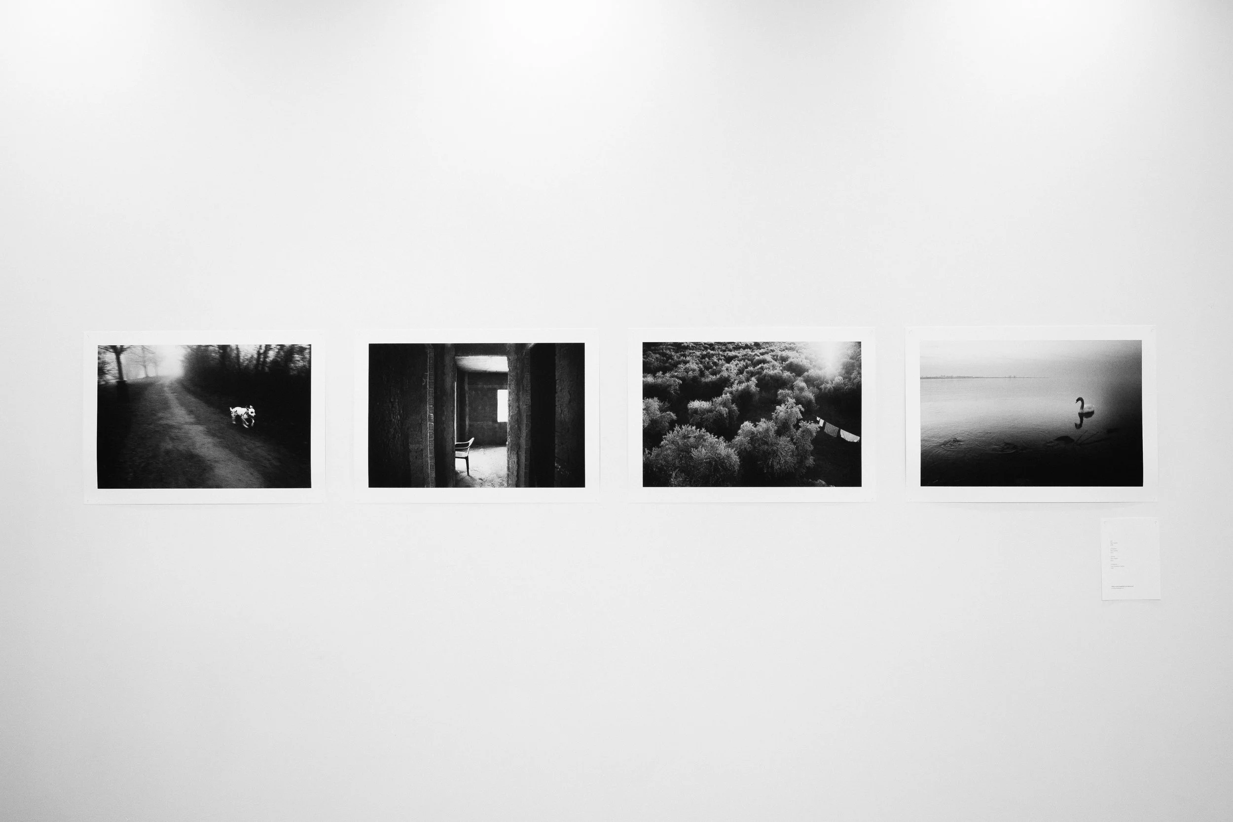 UNSEEN-5230018-2.jpg
