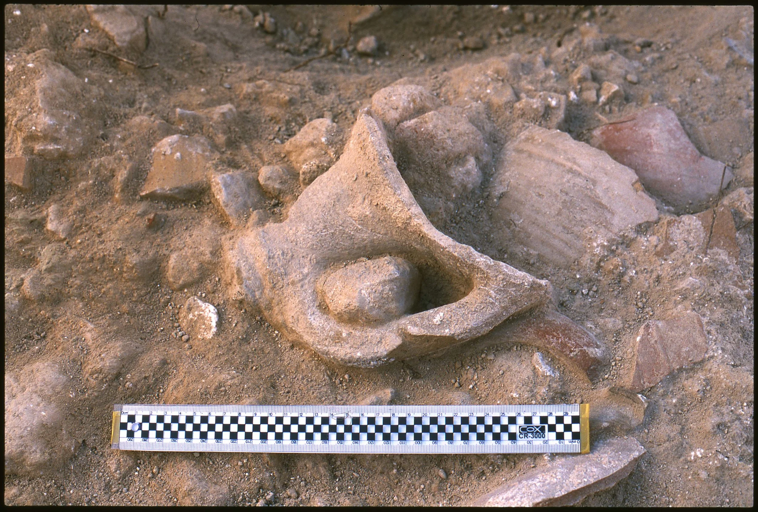Amphorae Fragments In Situ