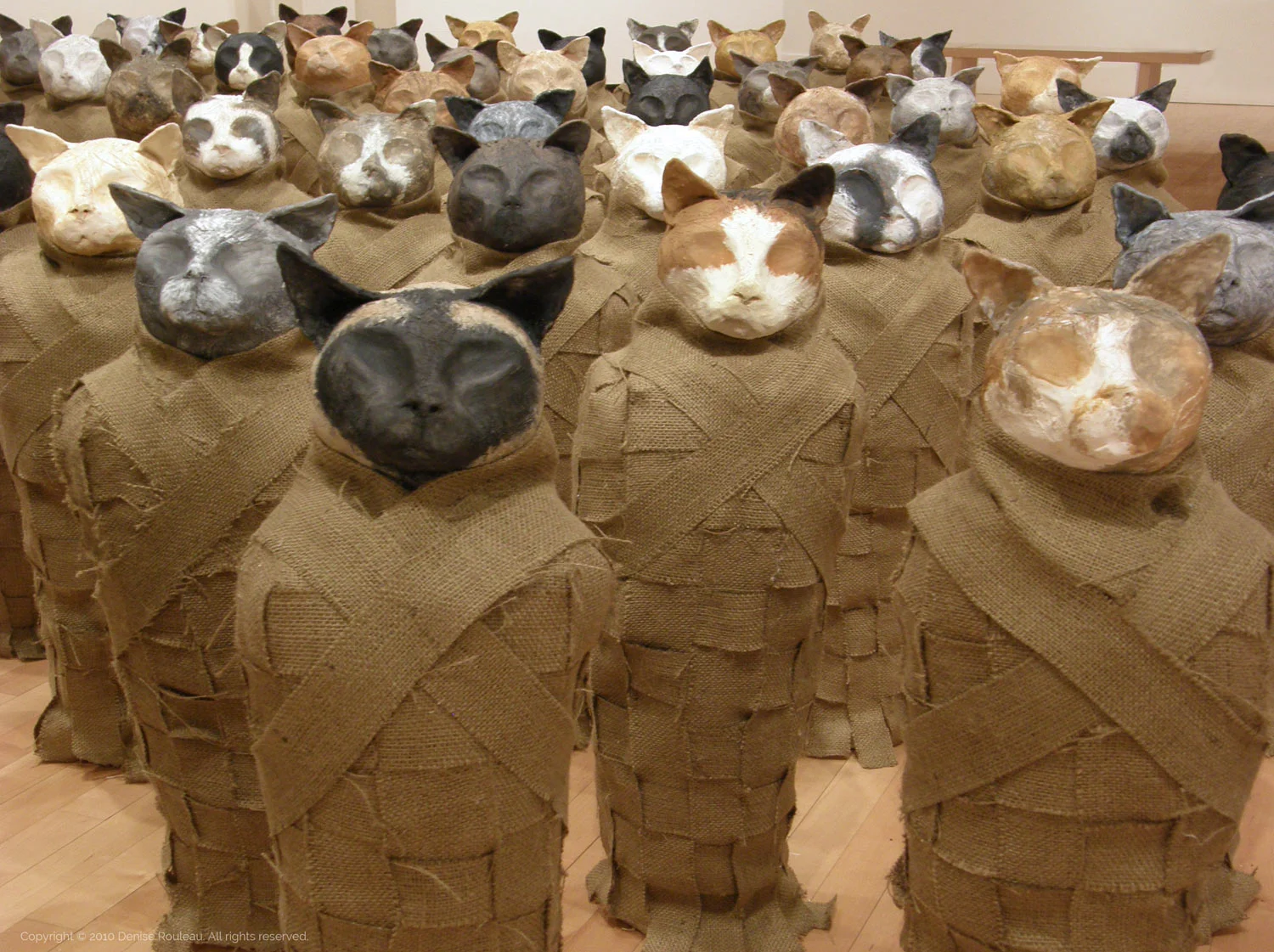unleashcatscloseup_1500.jpg