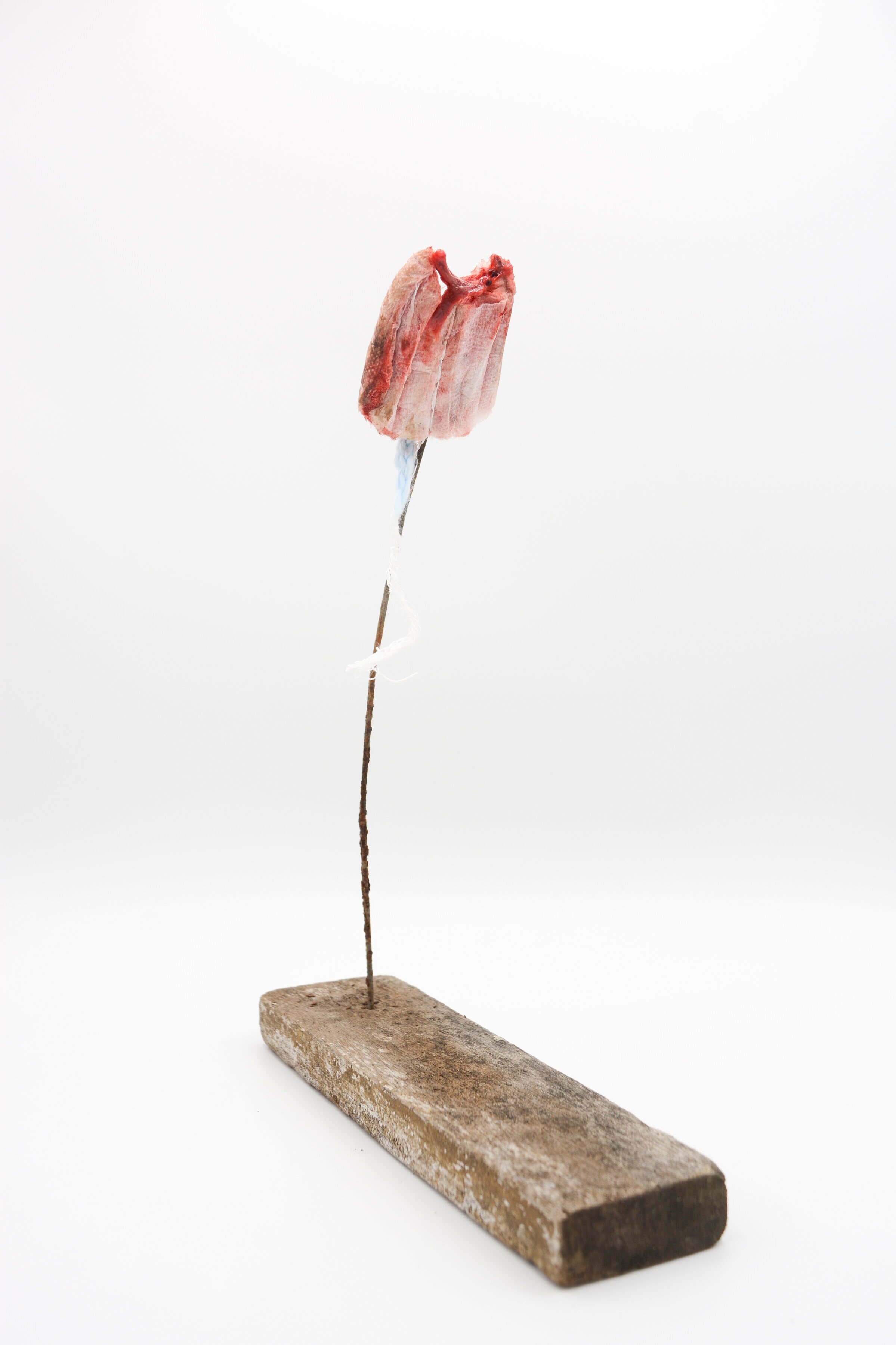  Bloody Tampon, Rusted Nail, Wooden Base 
