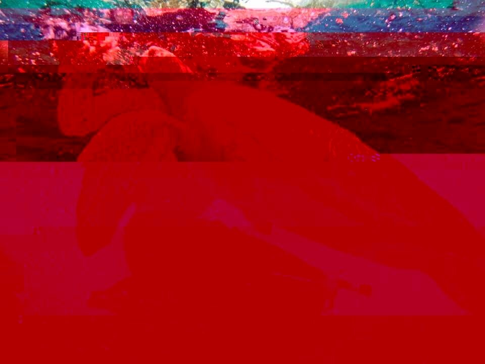 IMG_9620-glitched-8-11-2020-2-31-12-AM.jpg