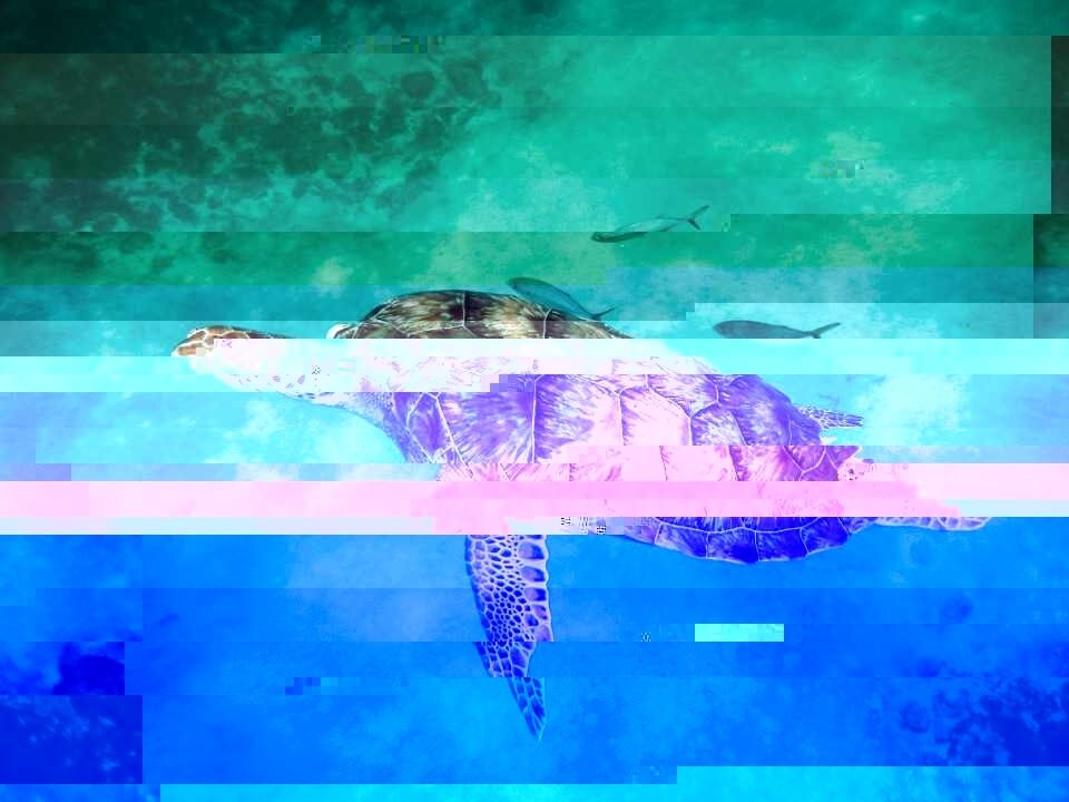 Kadiejra_O'Neal_GlitchArt_5.jpg