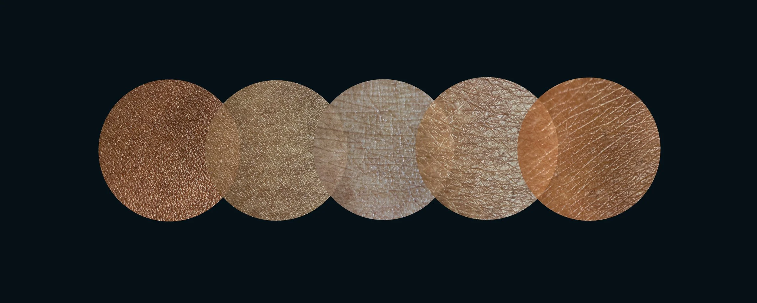 VENN DIAGRAM - BLACK.jpg