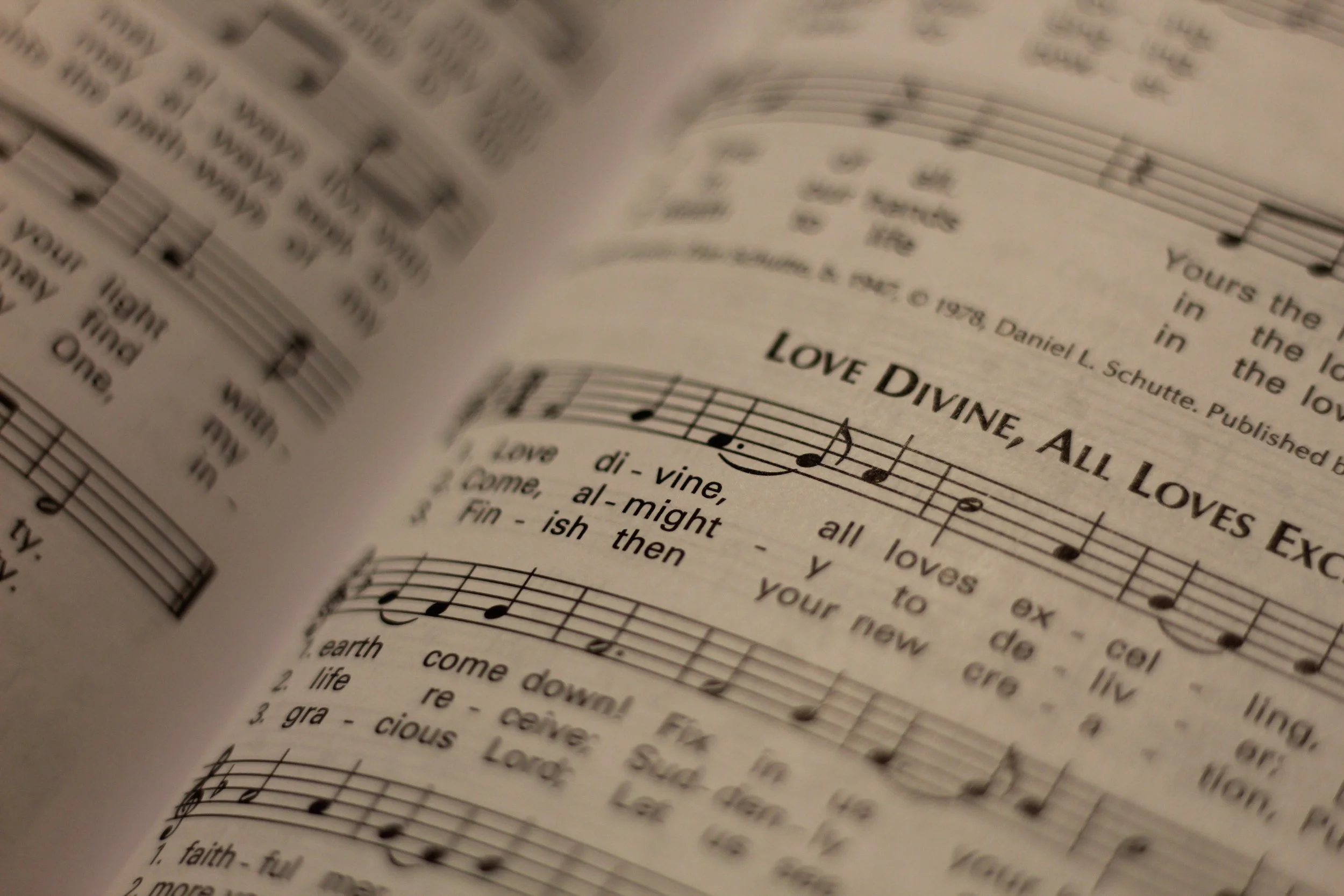 Love Divine soft focus.JPG