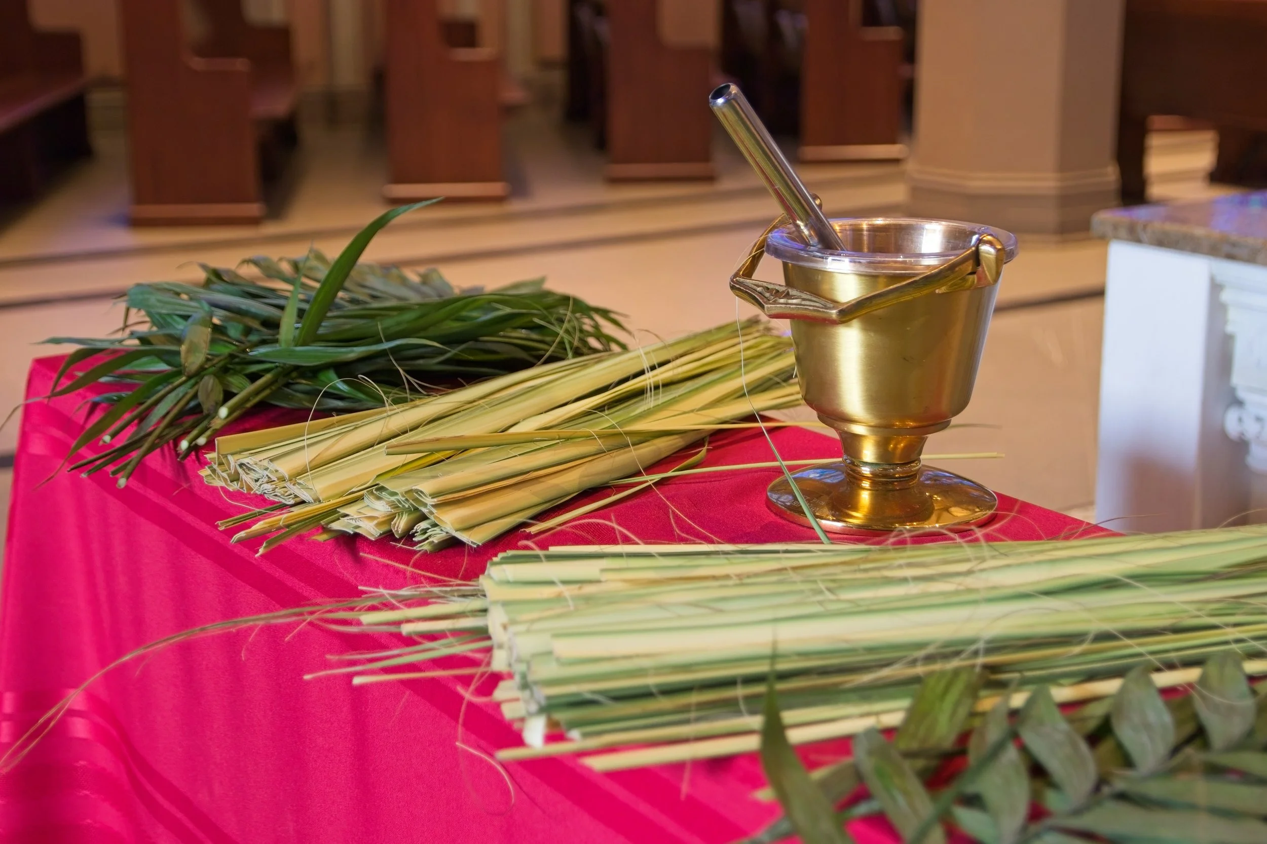 Palm Sunday of the Lord's Passion