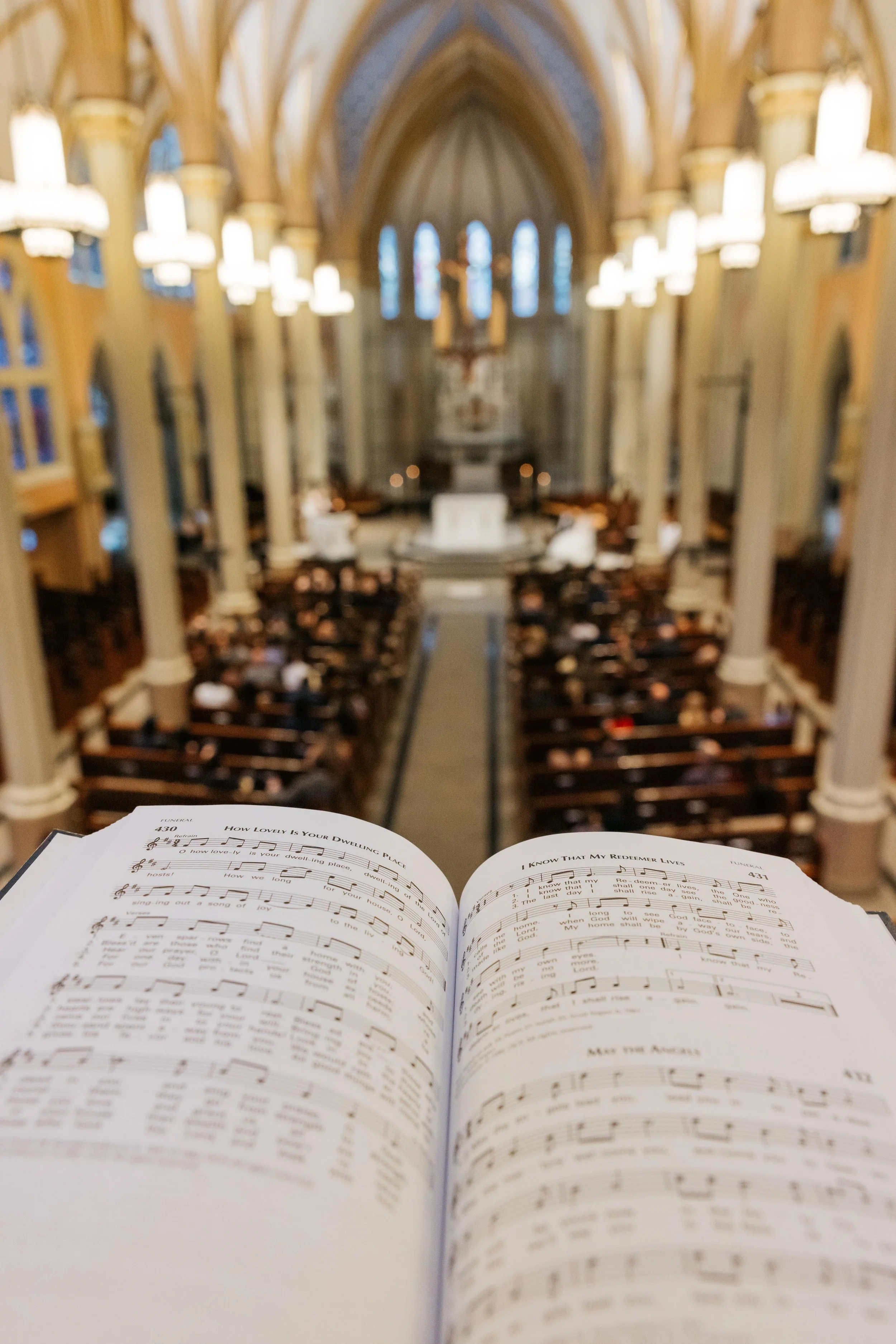 260214 Zigmond Wdg book&church 2.jpg