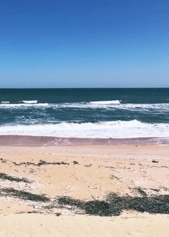 Savings for Affordable Travel