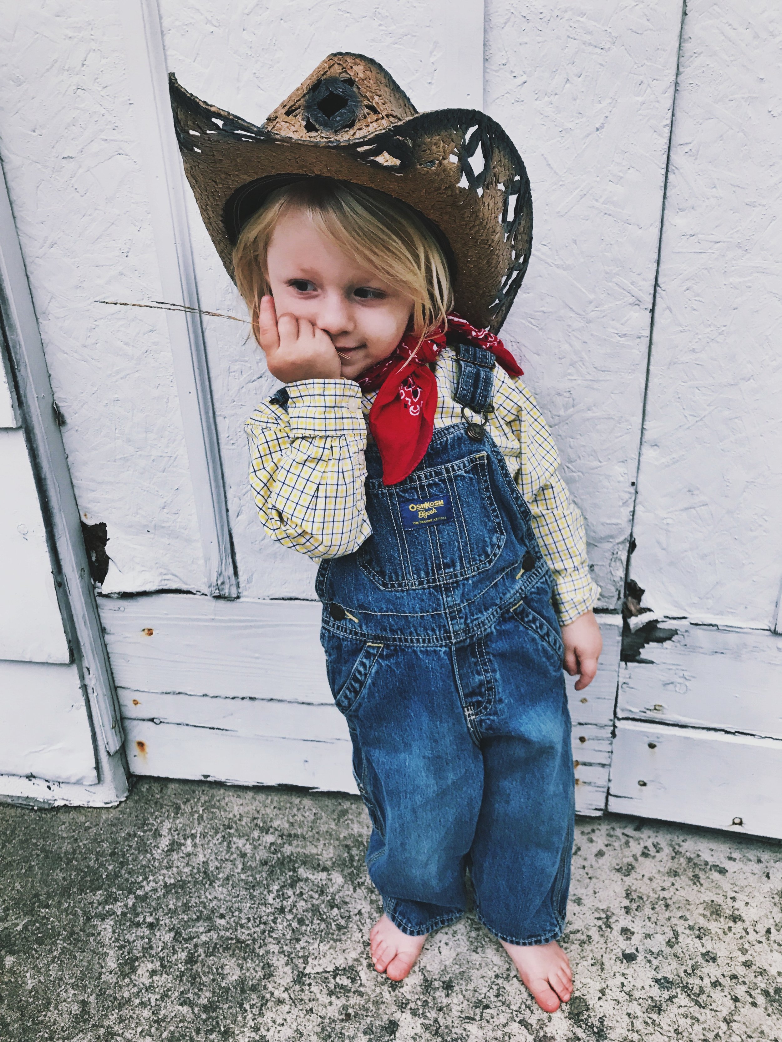 What Alice Addict 7 Quick, Easy, DIY Toddler Halloween Costume Ideas — Value Minded Mama