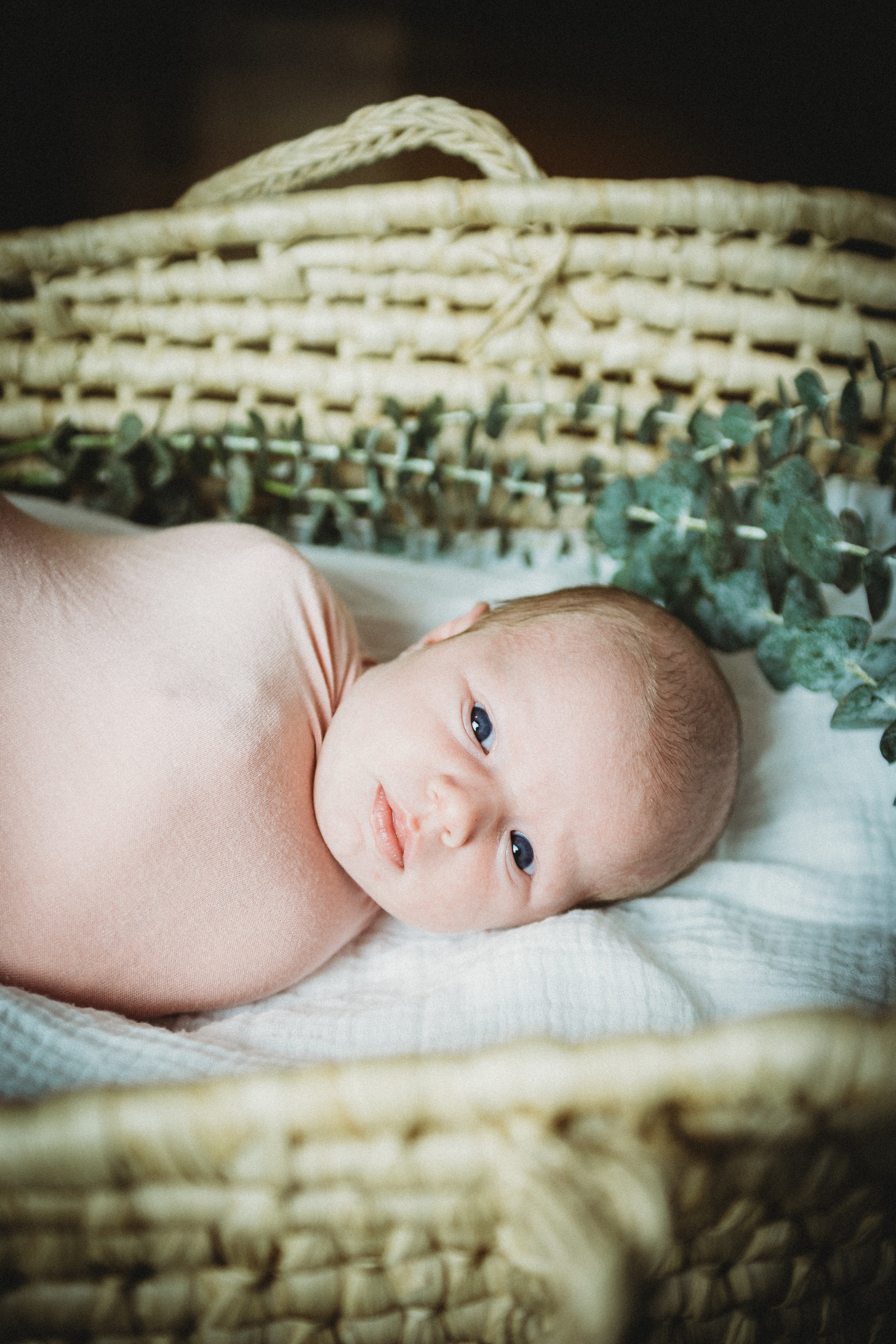Baby G Newborn 2017-0002.jpg