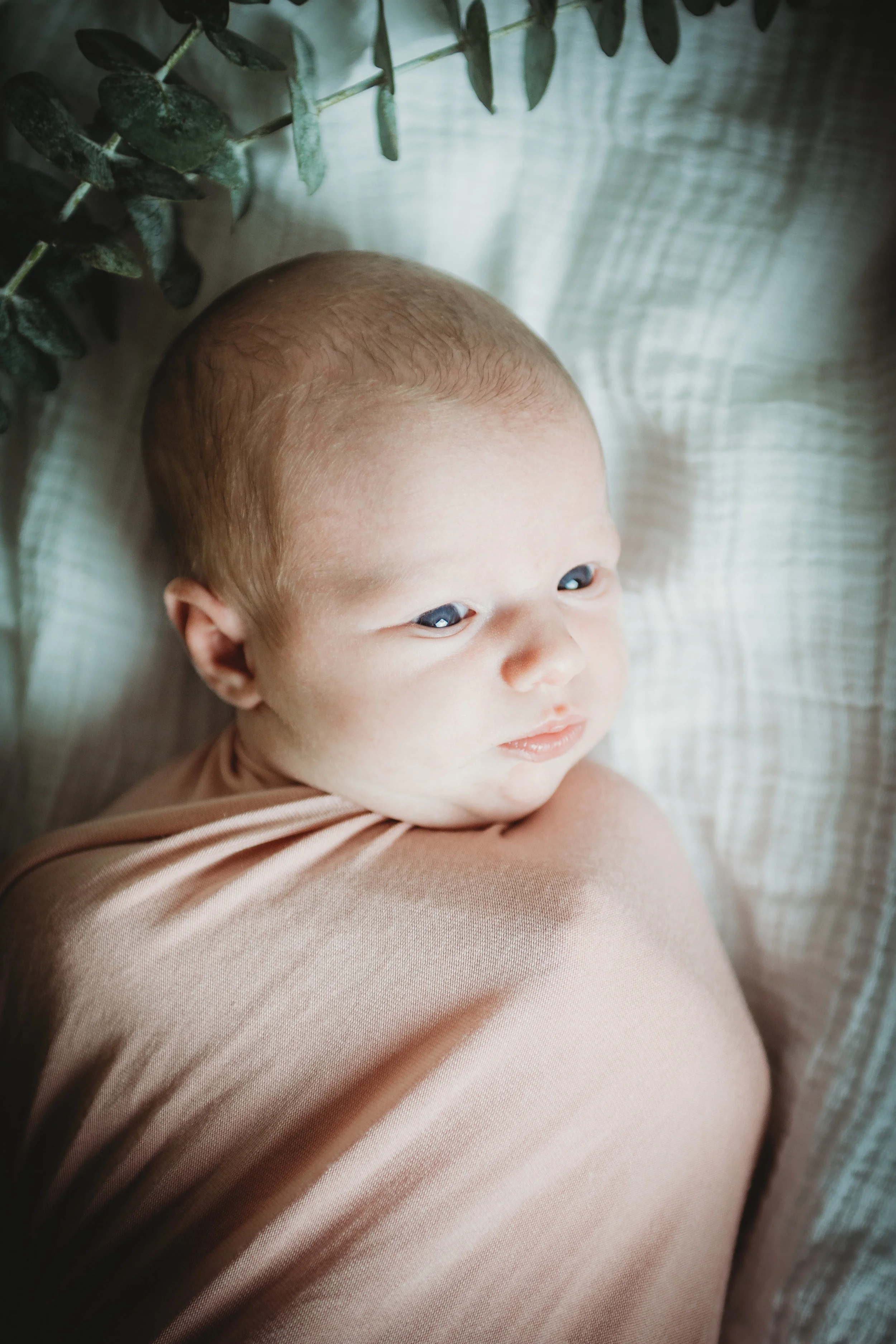 Baby G Newborn 2017-0007.jpg