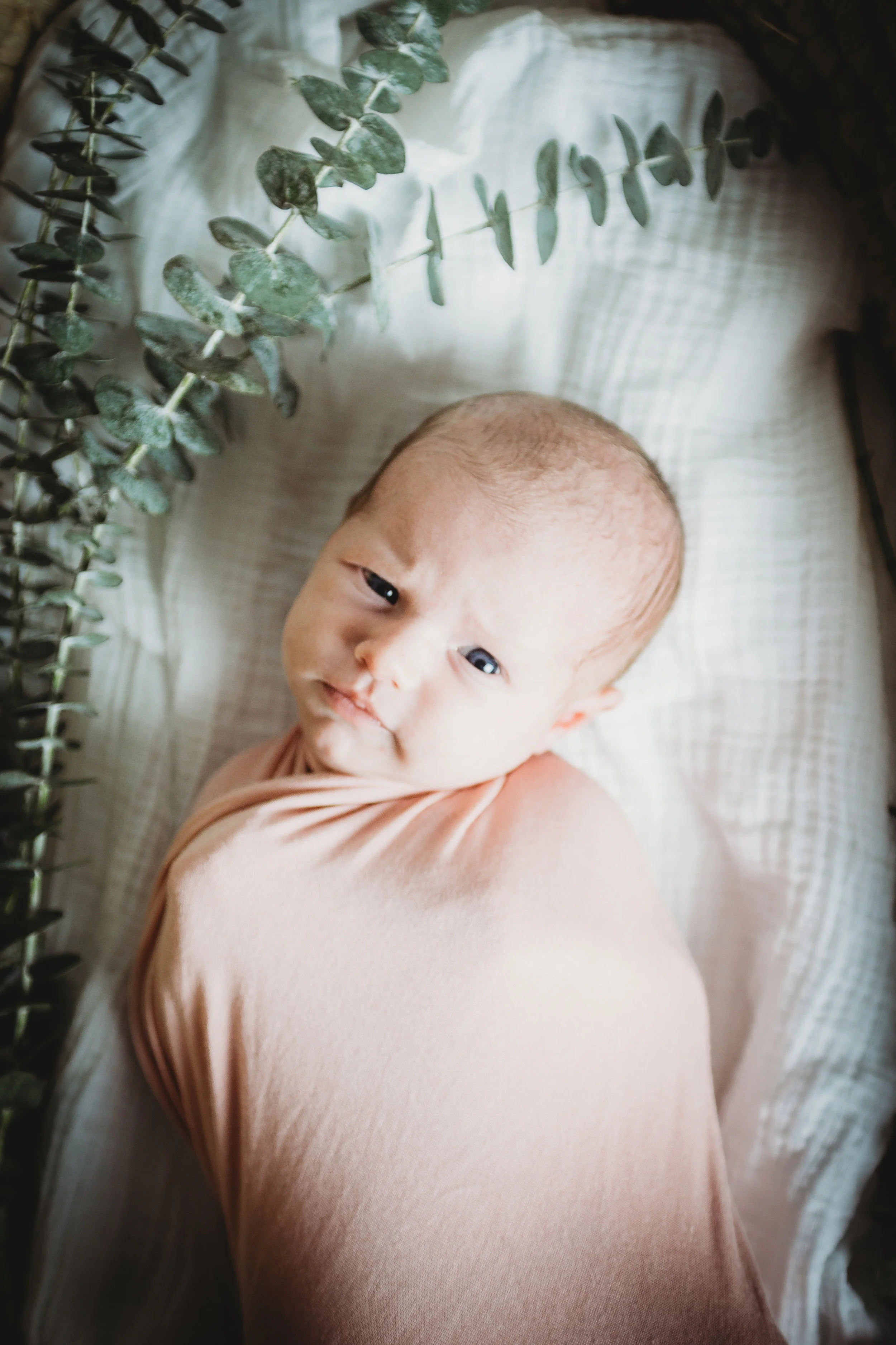 Baby G Newborn 2017-0009.jpg
