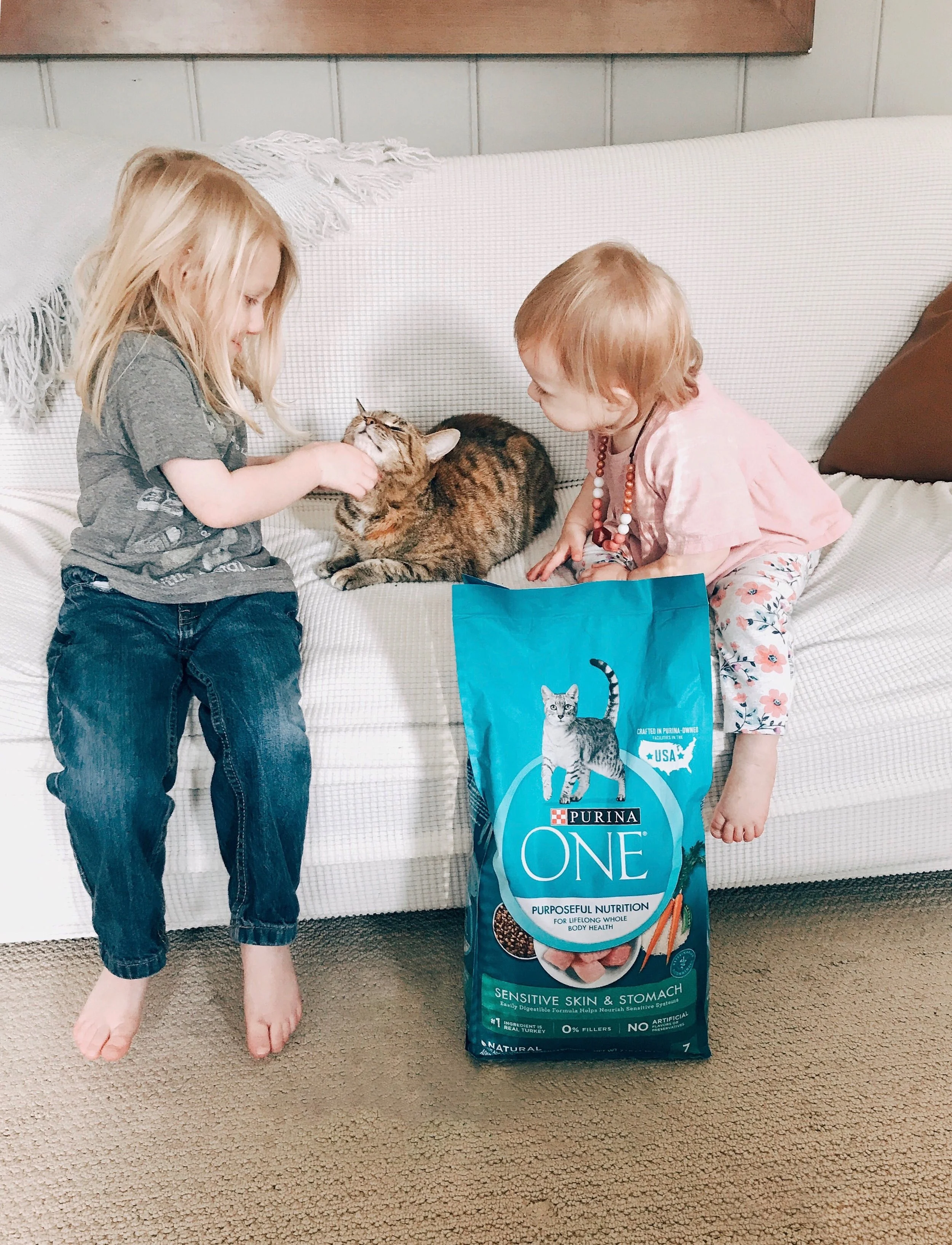 Start your pet’s healthier journey by joining me in the 28-day challenge!