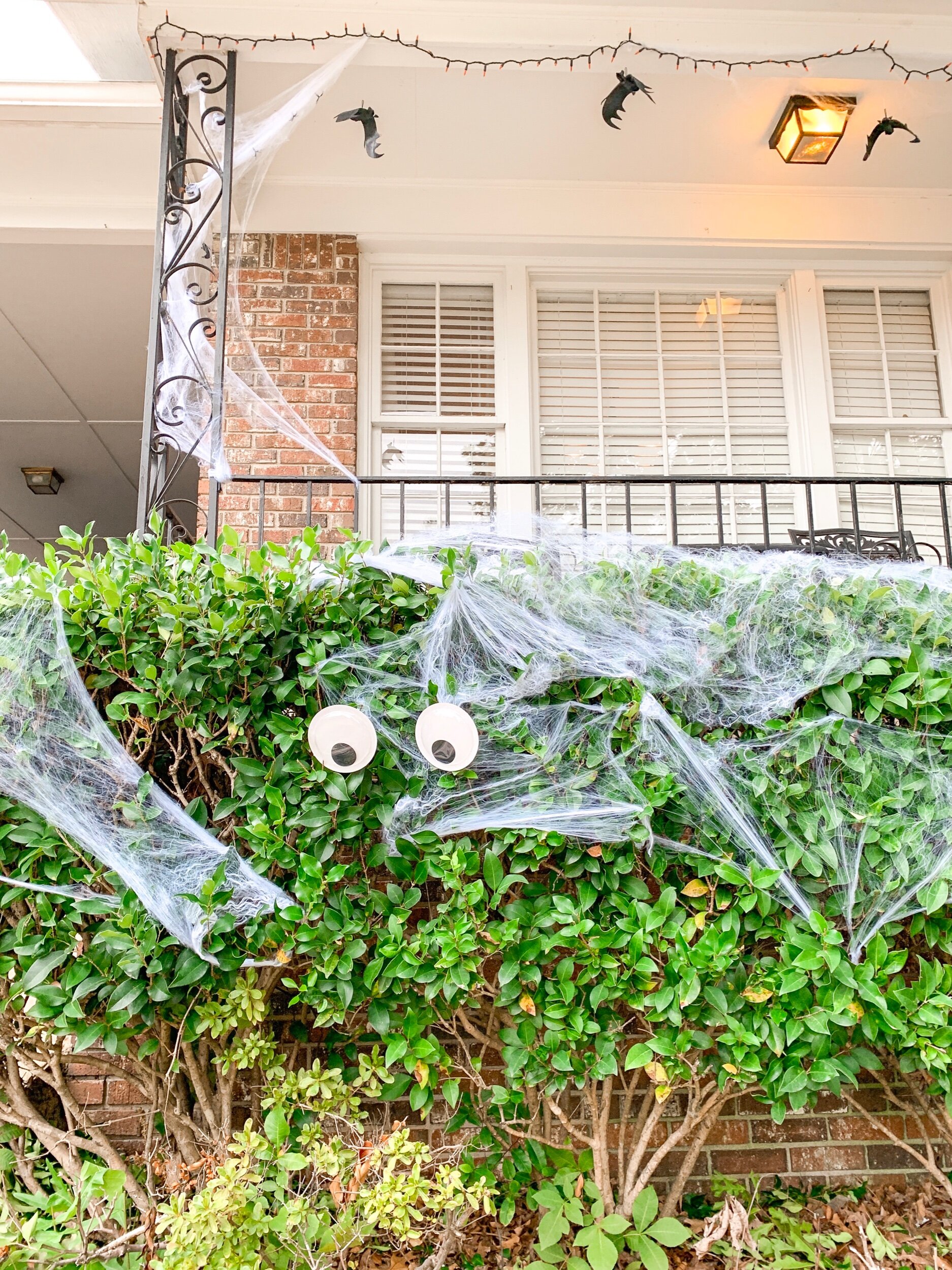 Got 5 plastic bats for $5. One pack of spider webbing covered everything outside. Everything. One set of googly glow in the dark eyes = $1. Love finding affordable Halloween decorations for only a dollar.