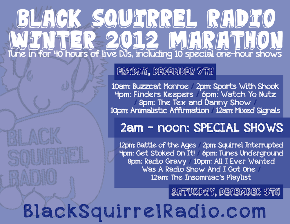 bsrmarathon-winter2012.png