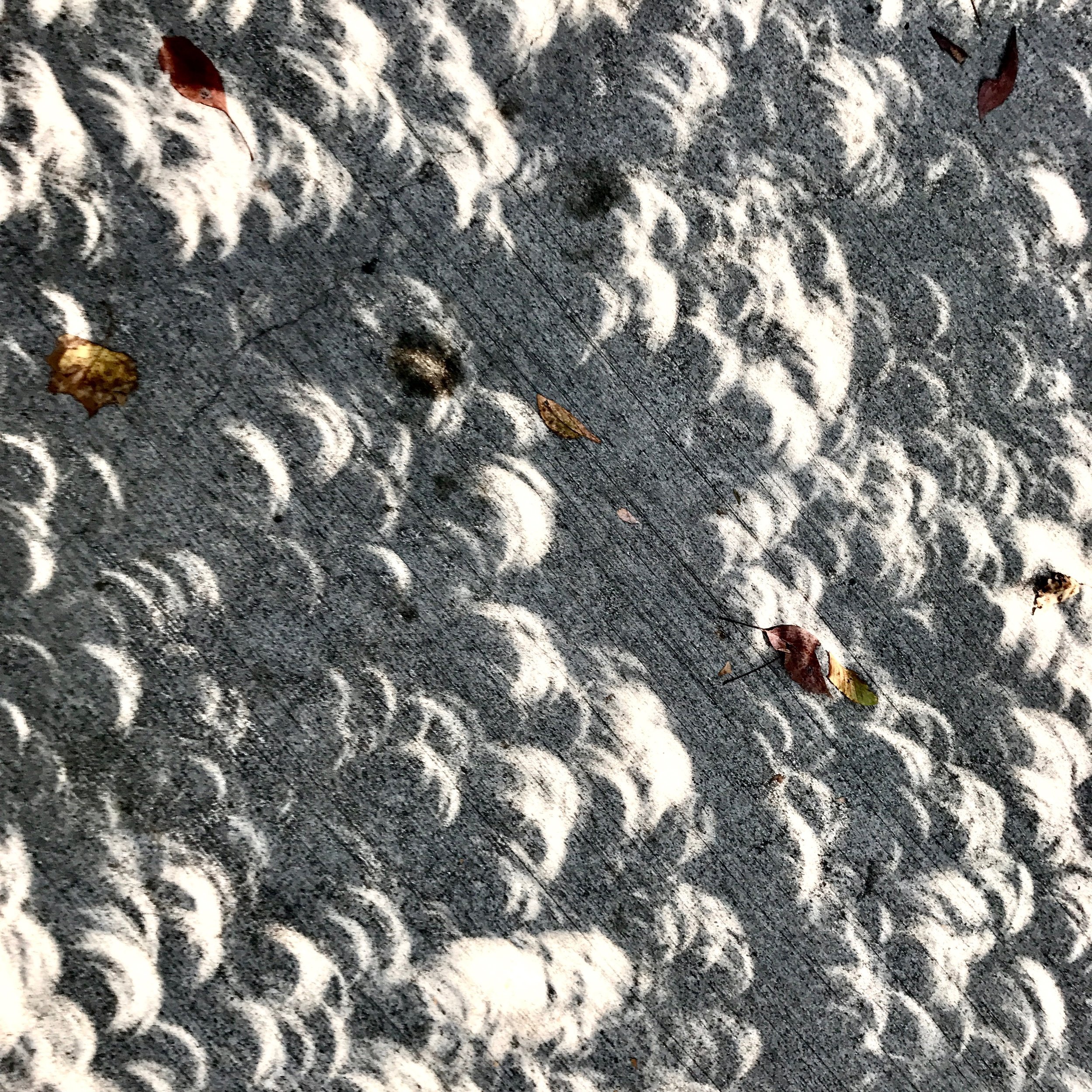Eclipse