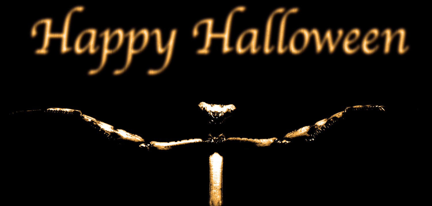 Halloween Special! episode artwork