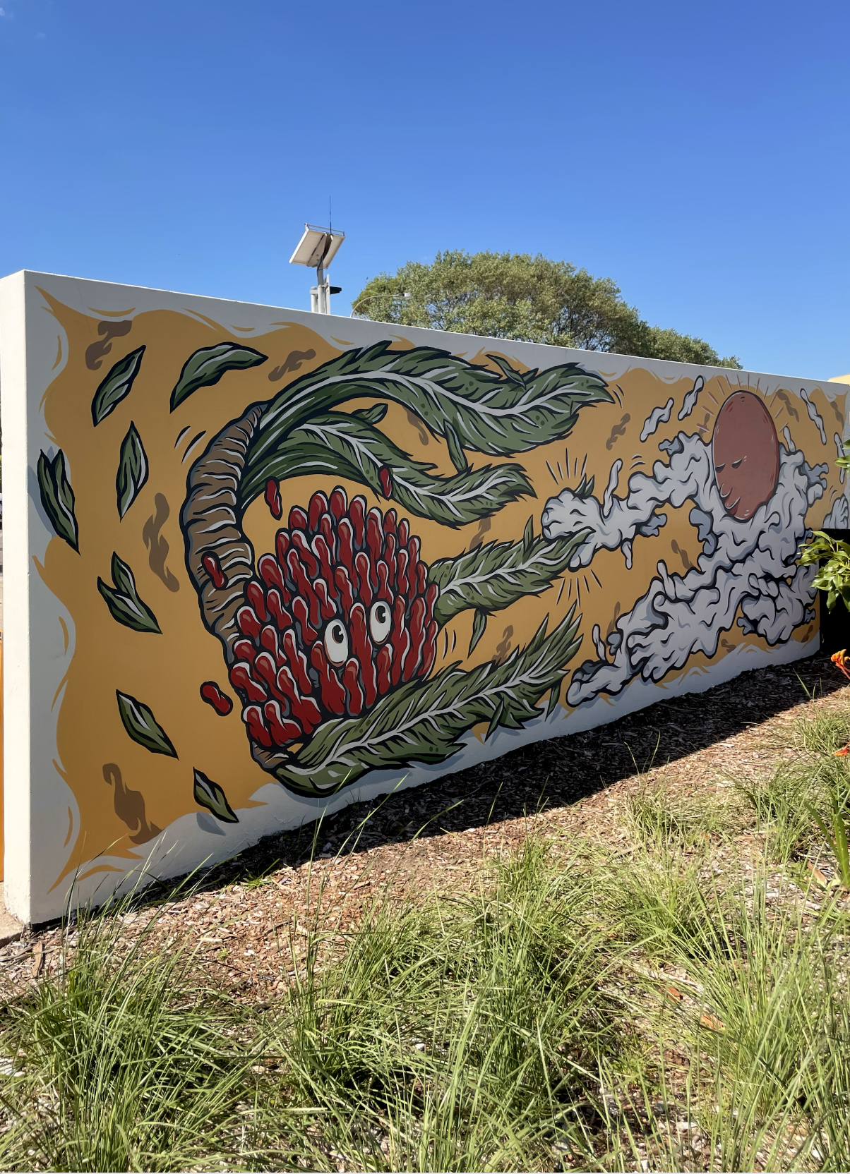 Screen Shot 2023-01-30 at 12.15.12 pm.png