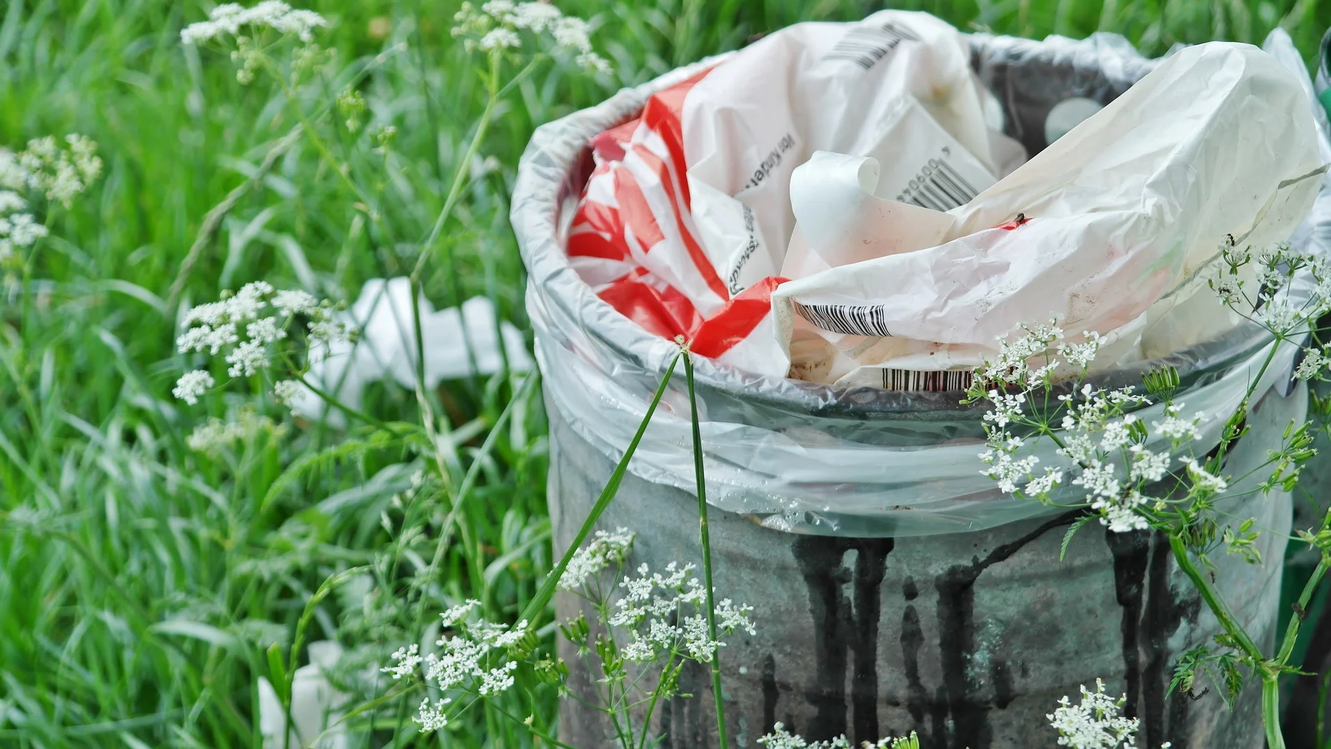 garbage-can-1423840_1920.jpg