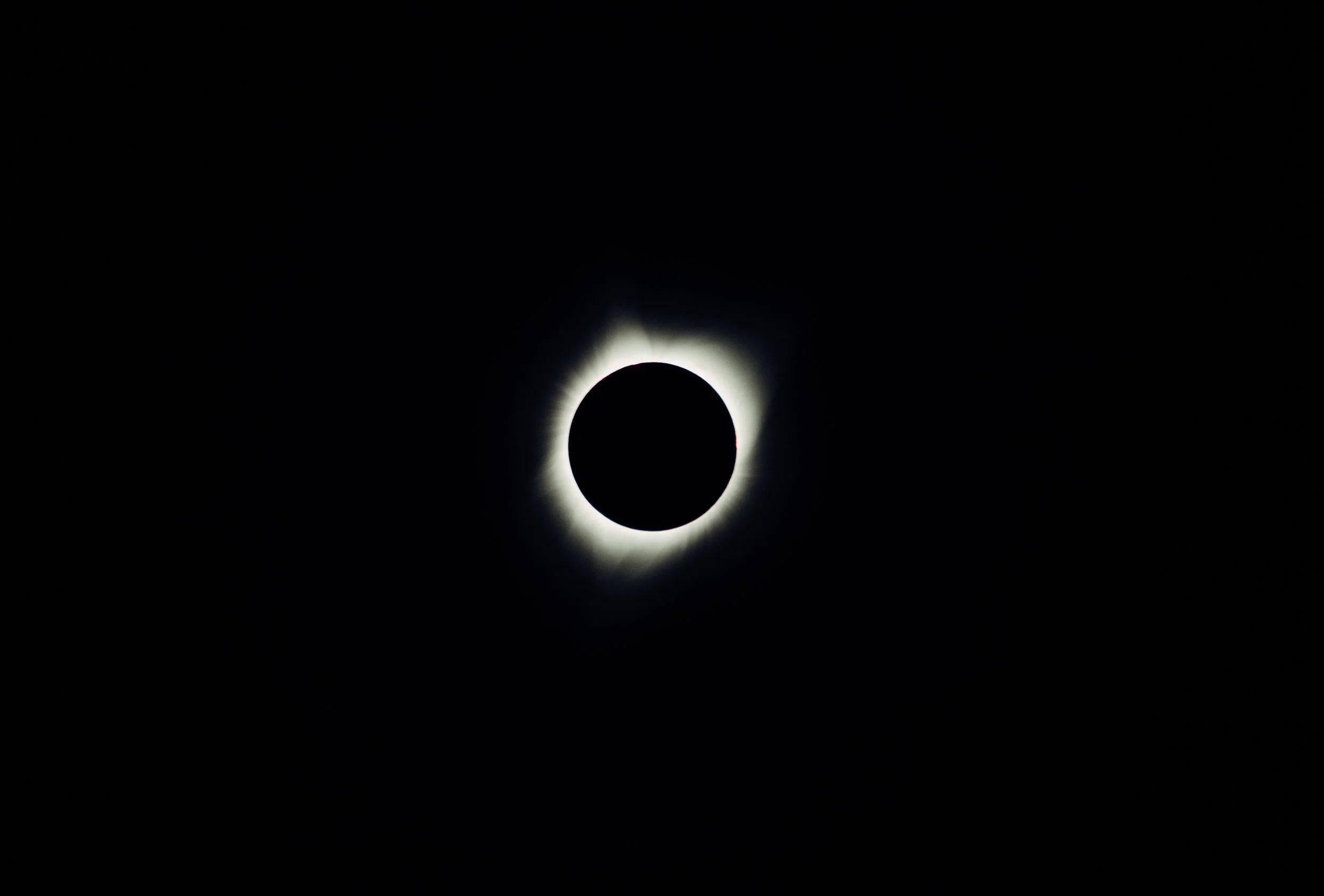 _DSC0034.jpg