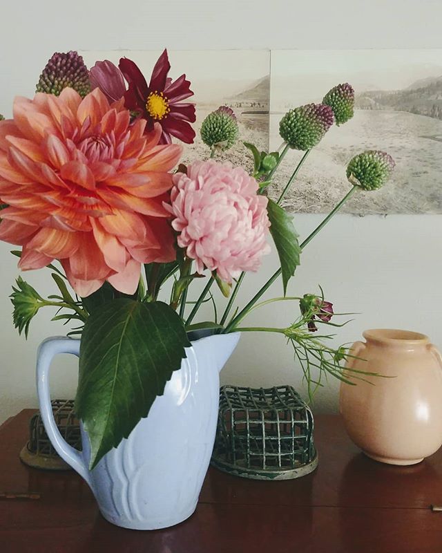 Smokey day antidote ❤
.
.
.
#seattleflorist #seattlesummer #dahlias #mums #cosmos #vintagepottery #dogdaysofsummer