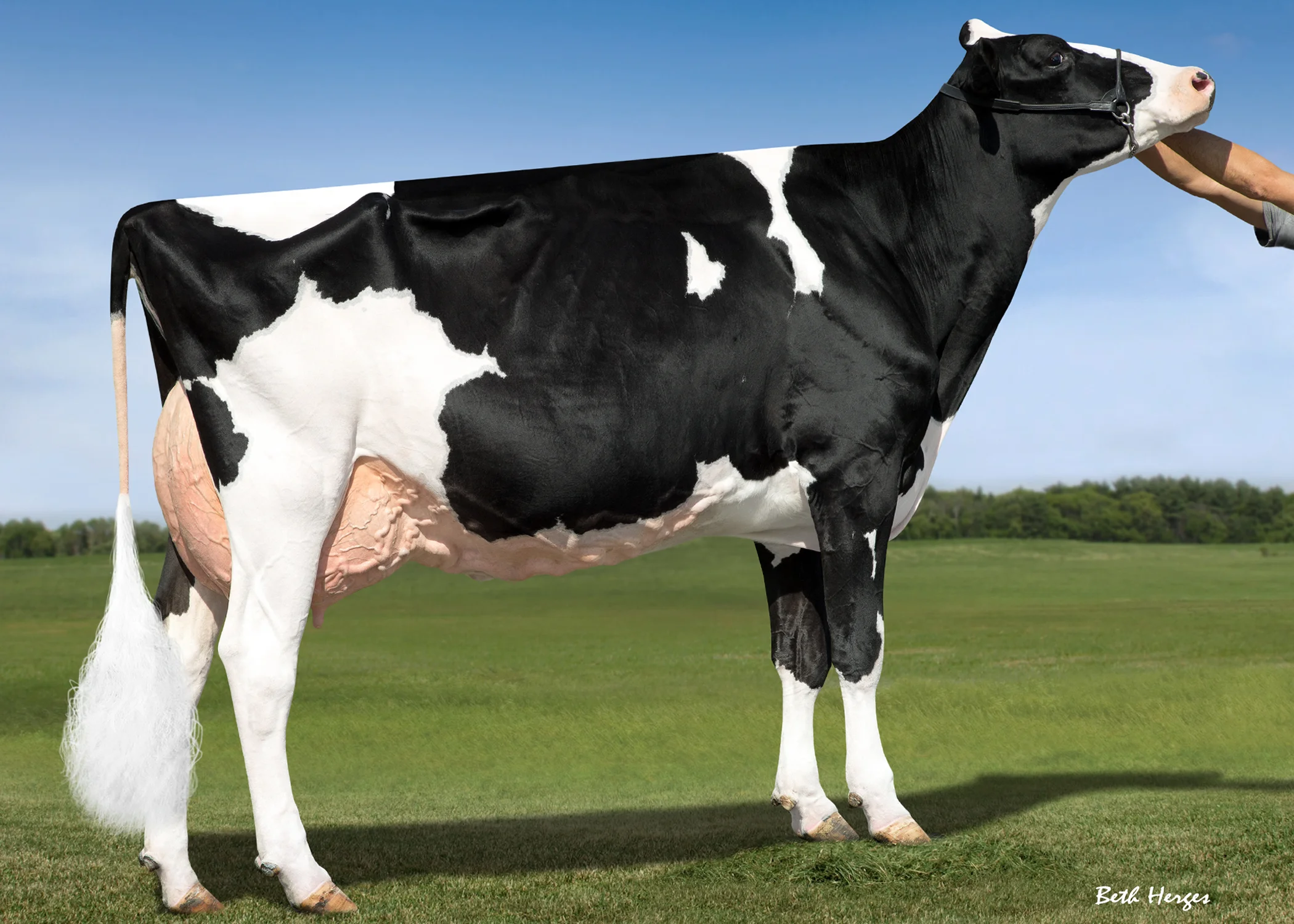 HFB9009 BVK Atwood Arianna-ET (2).jpg