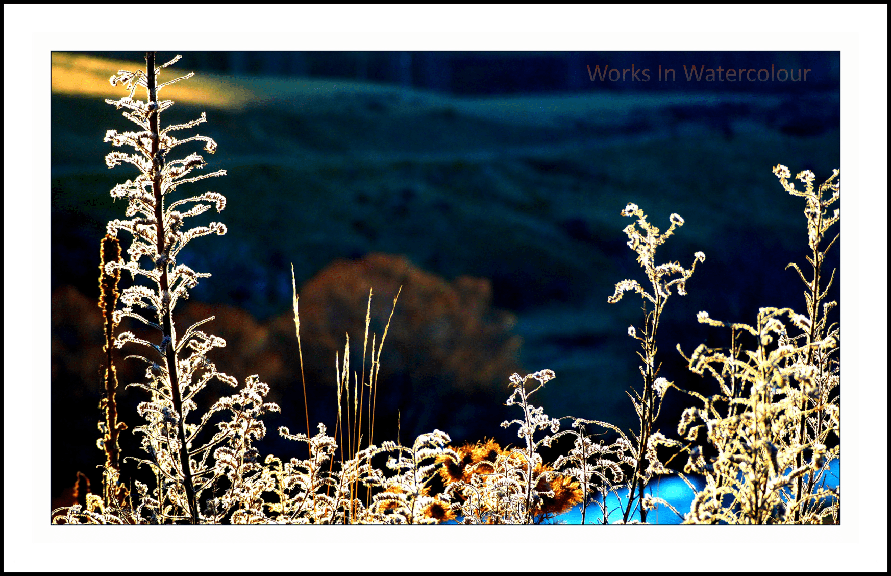 Sun Drenched Side-Show (c) WIW - Russell Perry