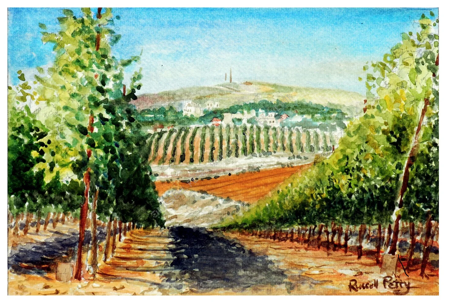 FIELDS OF OPPORTUNITY