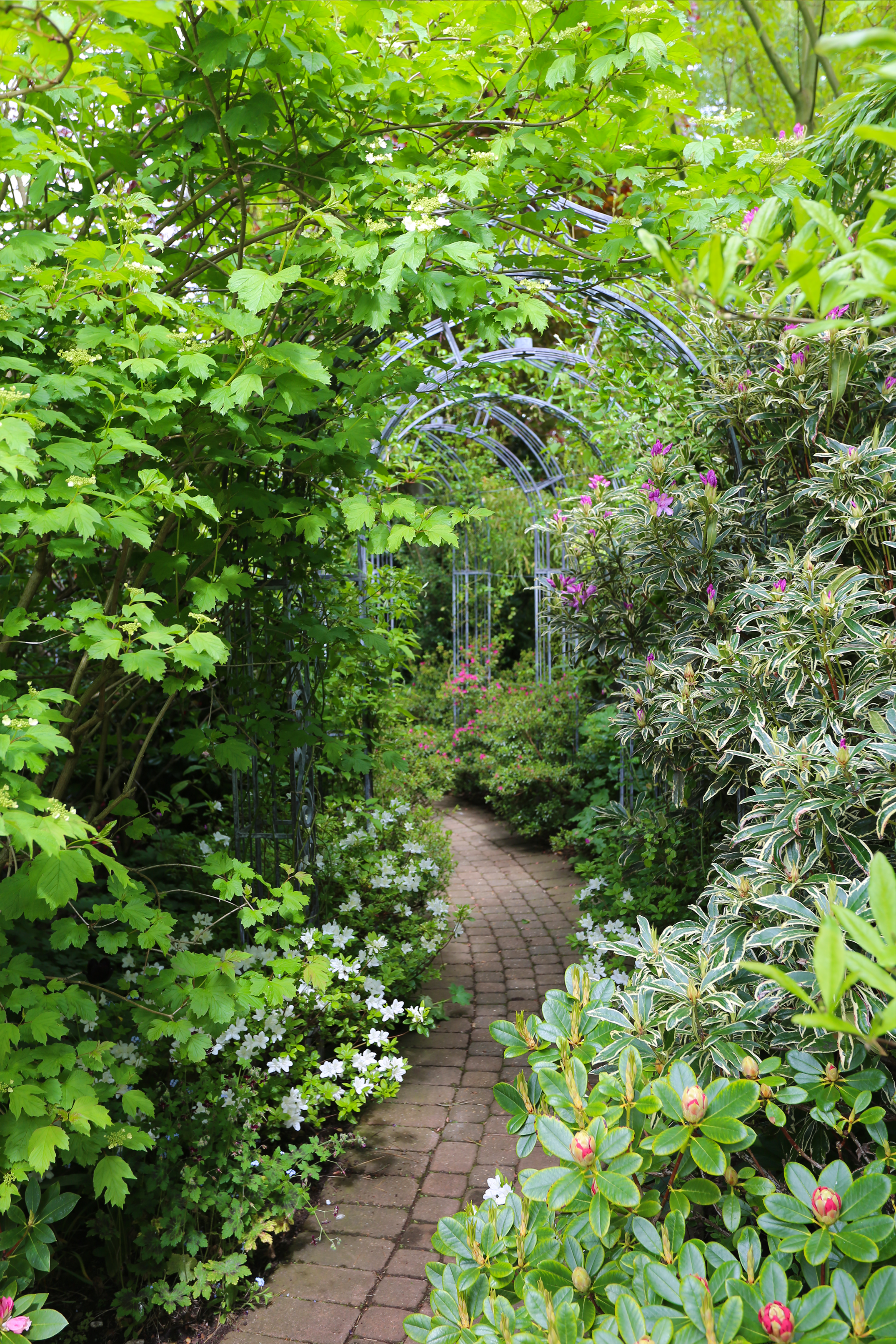 garden_walkway_archway.png