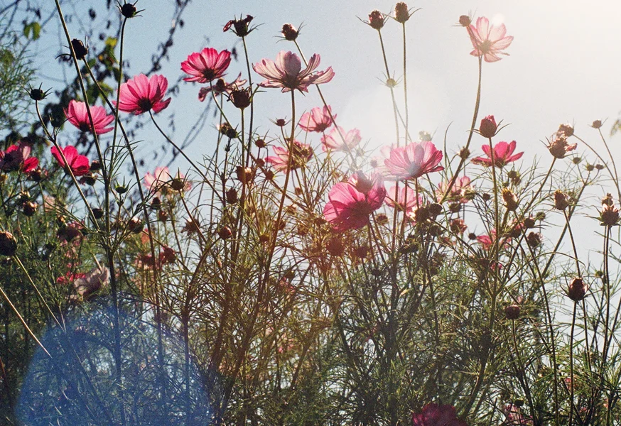 Photographer: Ithaka Roddam http://www.ithakaroddam.com/book-i/portfolio/