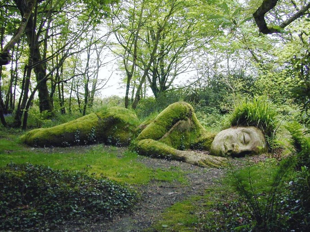 Photograph from The Lost Gardens of Heligan