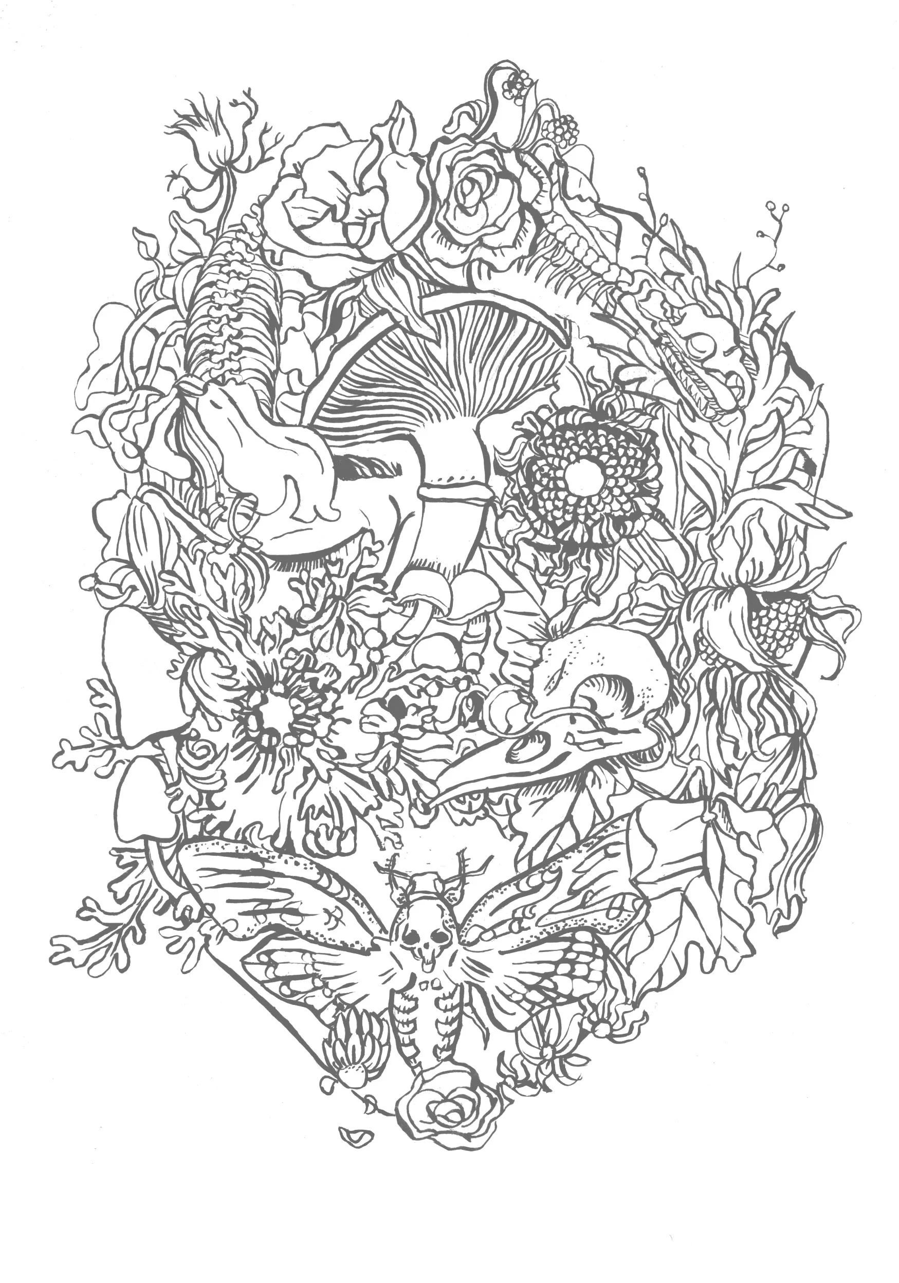 Illustration by Kitty Rice