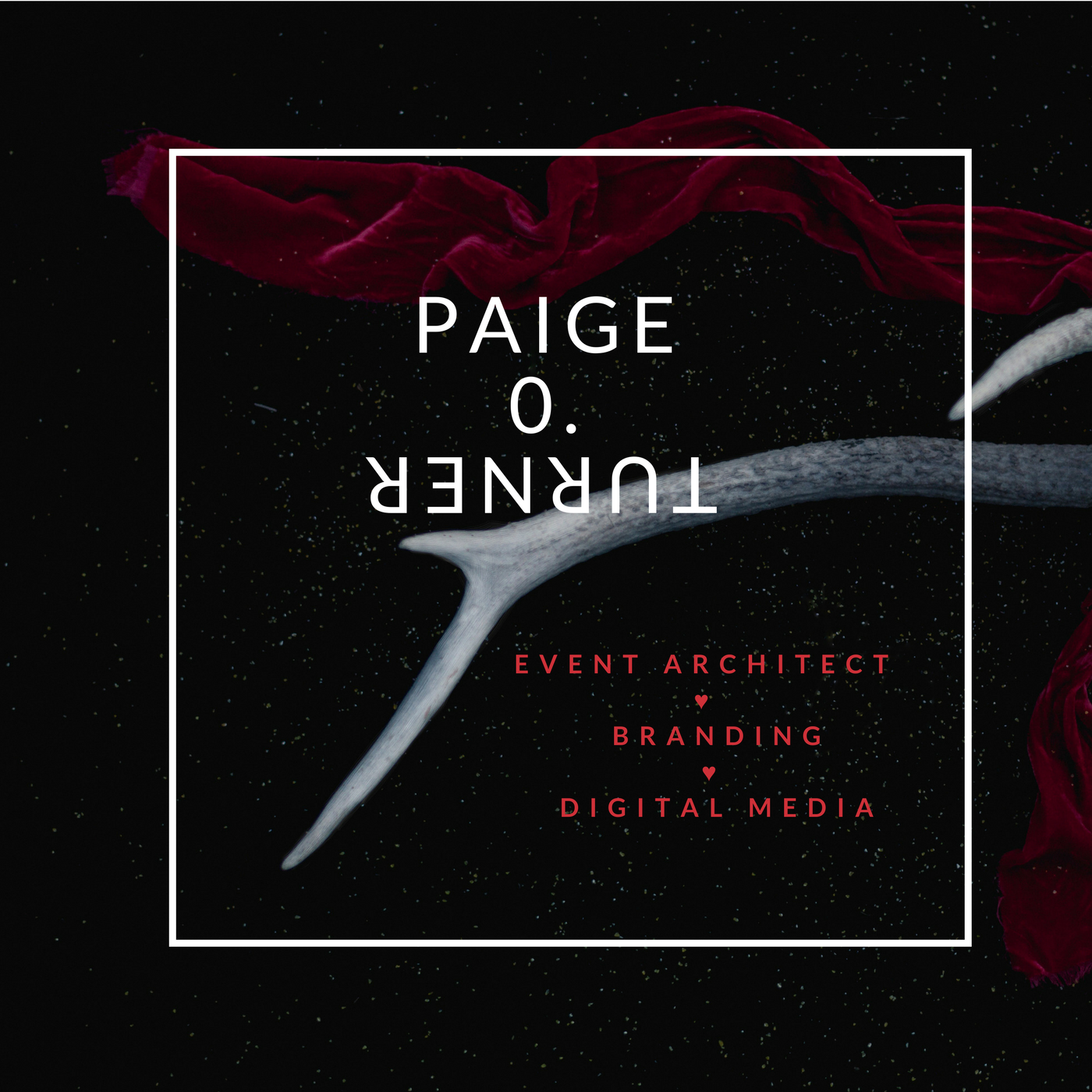 paigeo t.png