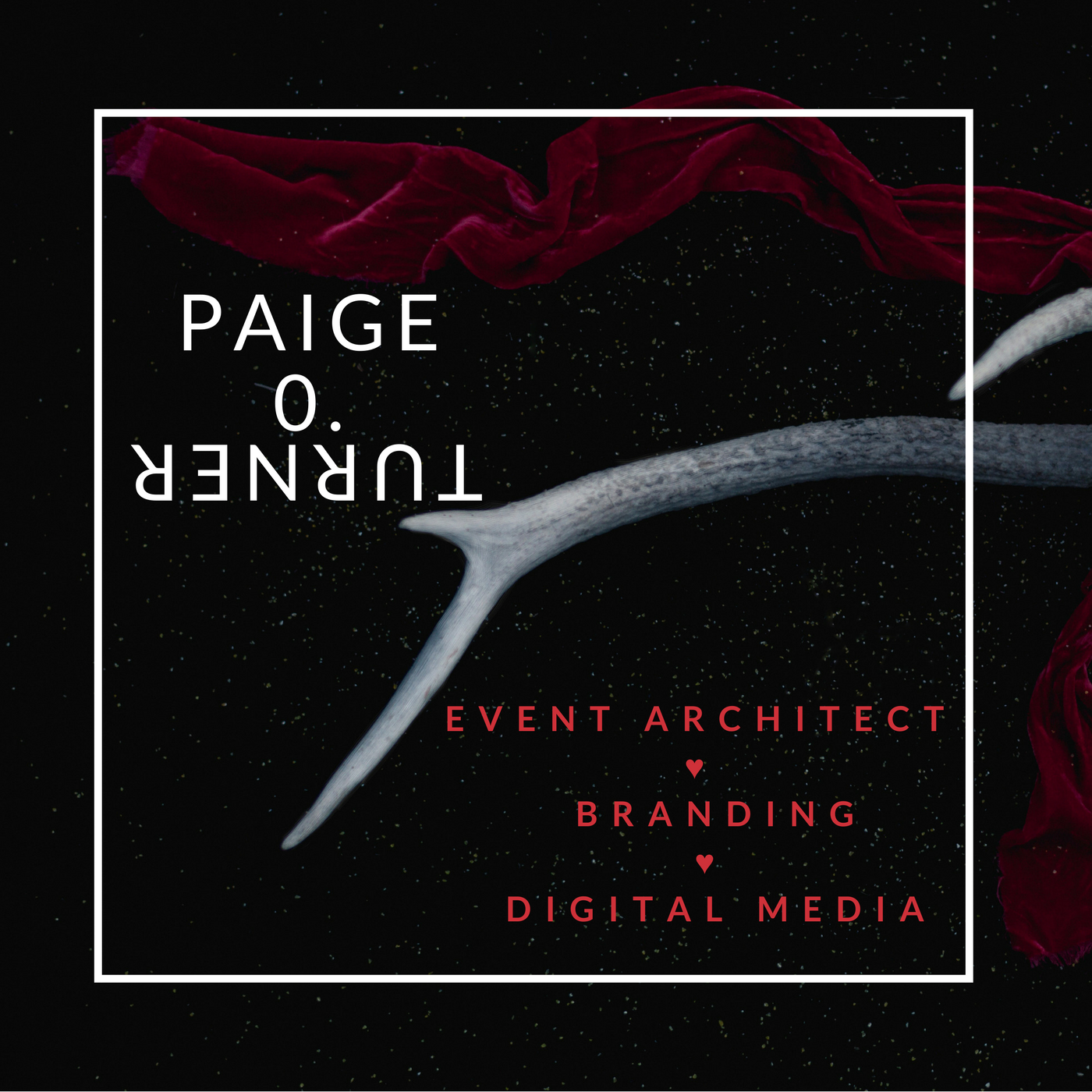 paigeo t (1).png