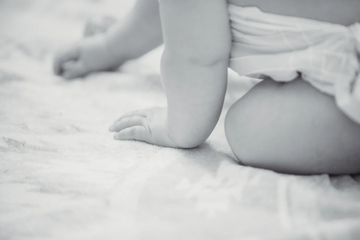 ©Clique Photography Sydney052A9961.jpg