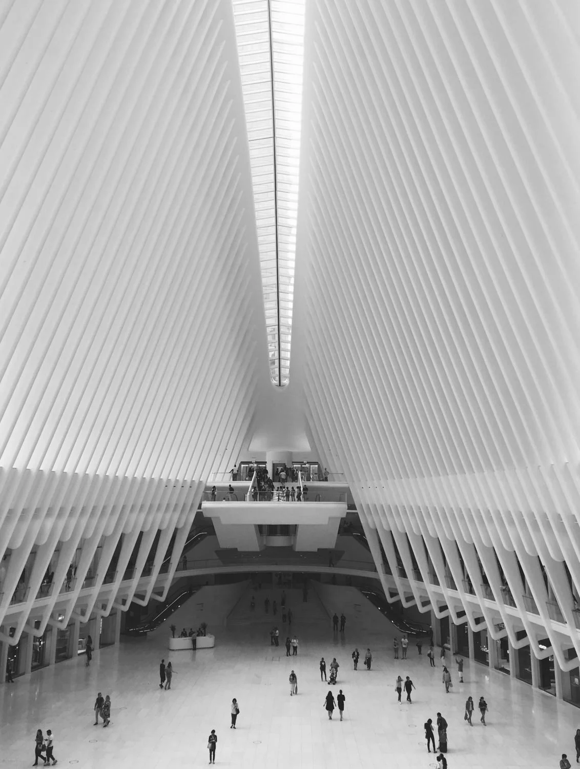 ©Clique Photography SydneyFullSizeRender-1.jpg