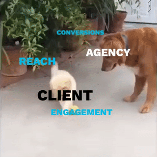 Client-vs-Expectations-v3.gif