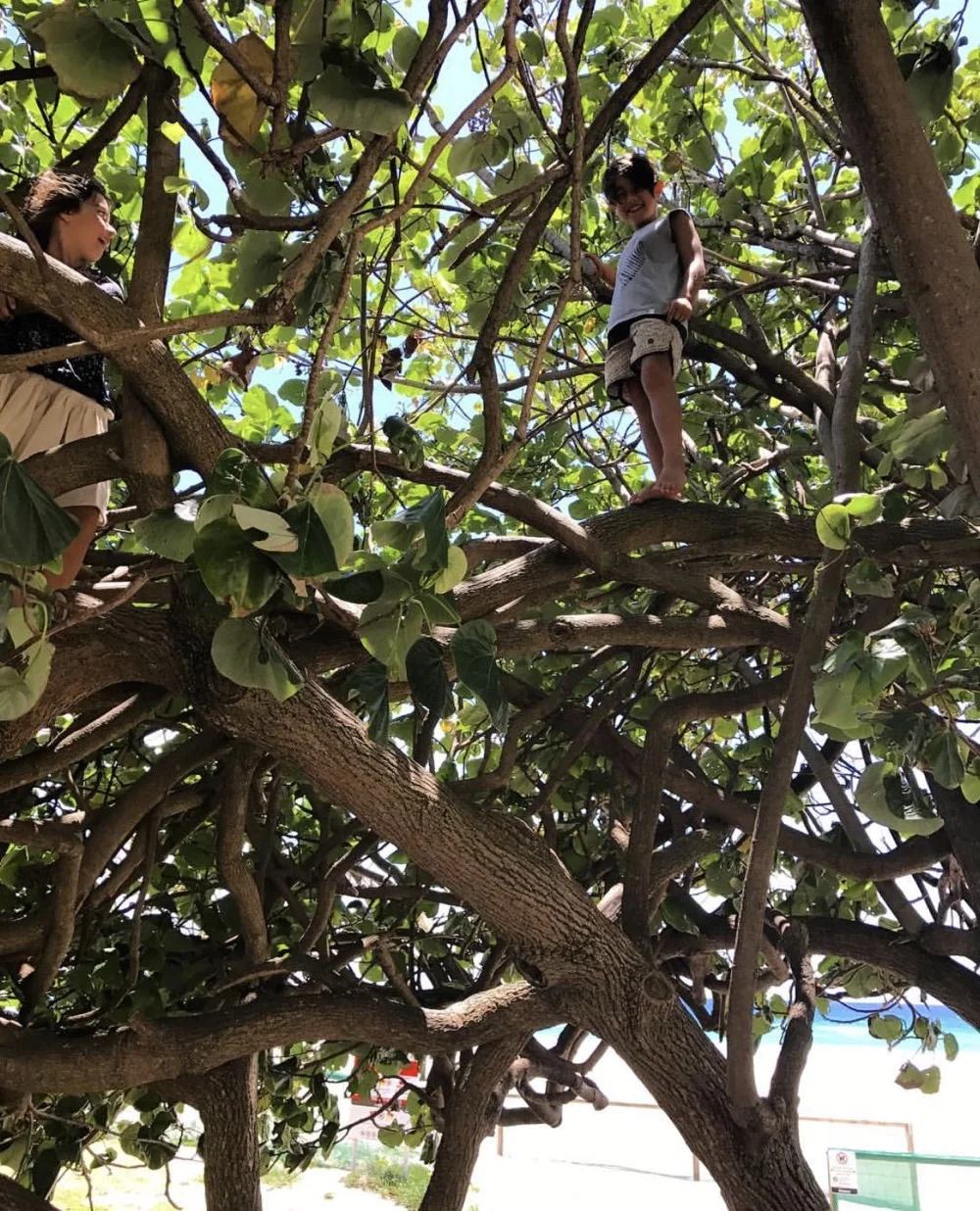 currumbin.jpg