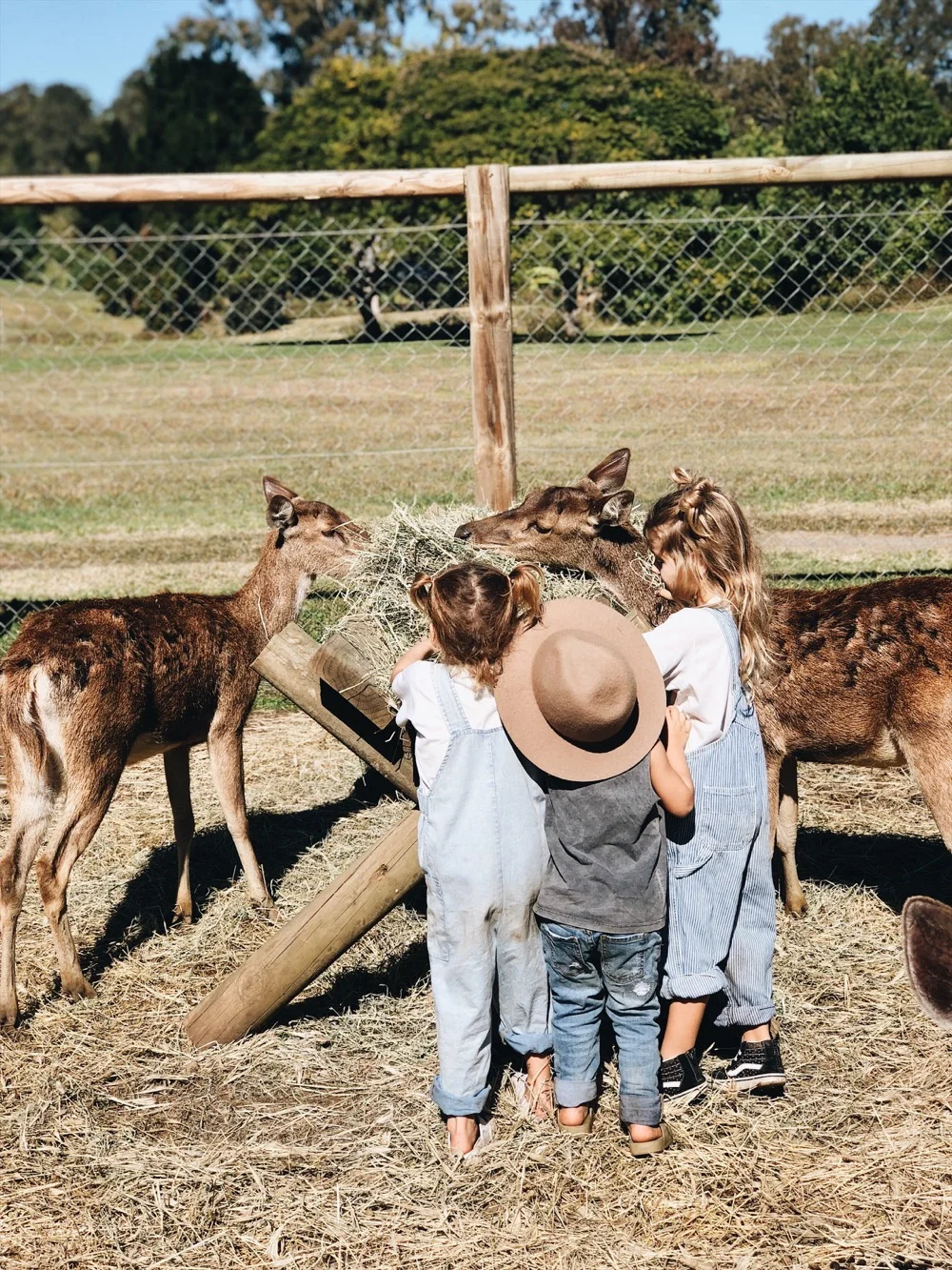 THINGS TO DO WITH KIDS ~ OUR PICKS