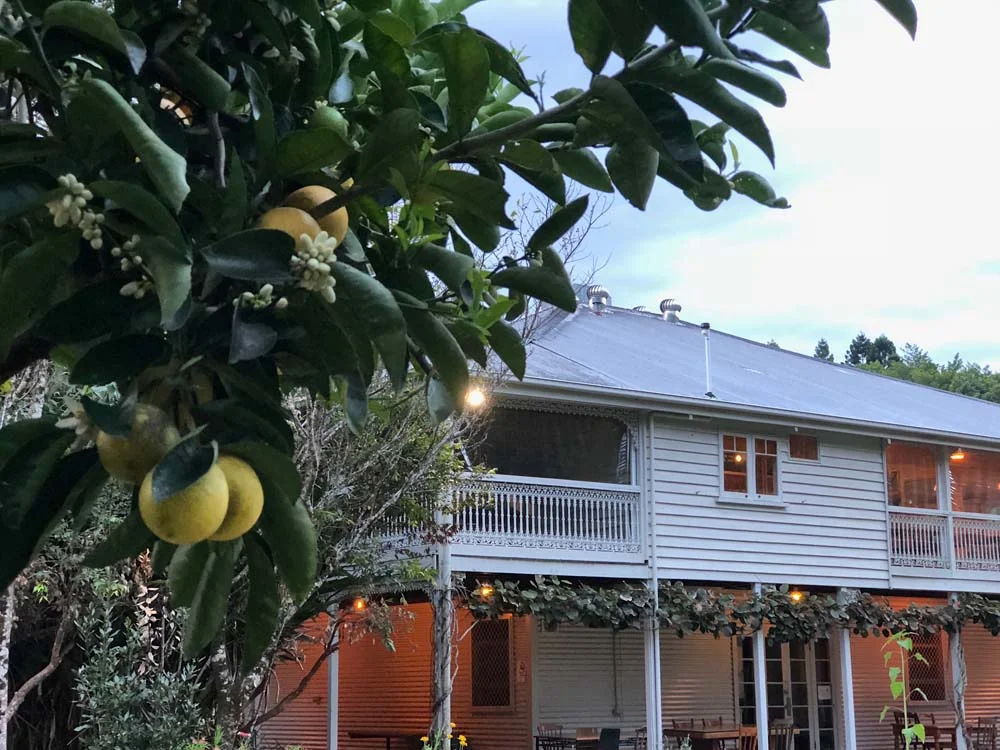 OUR TRAVELS ~ MAVIS'S KITCHEN &amp; CABINS